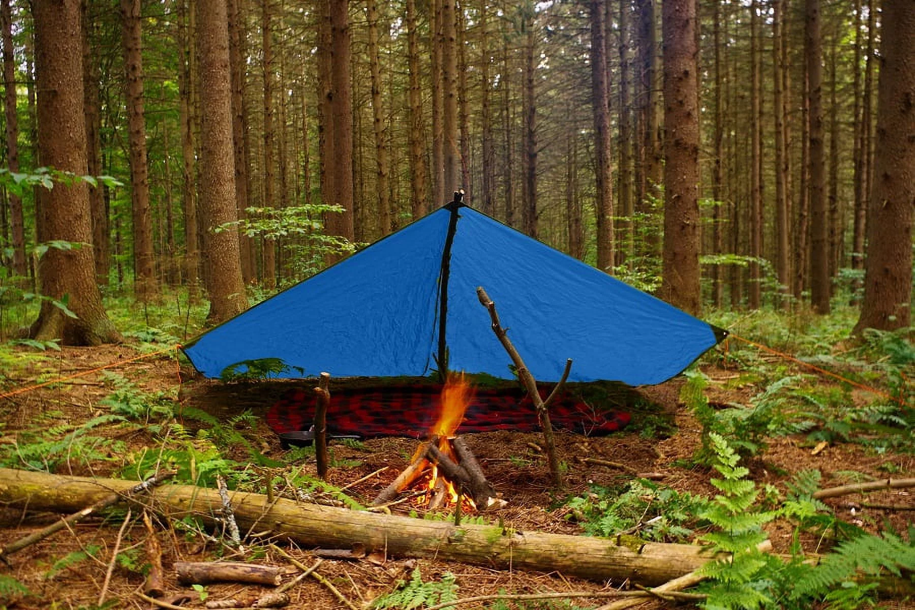 Boen 40' x 40' All Purpose Blue Tarp