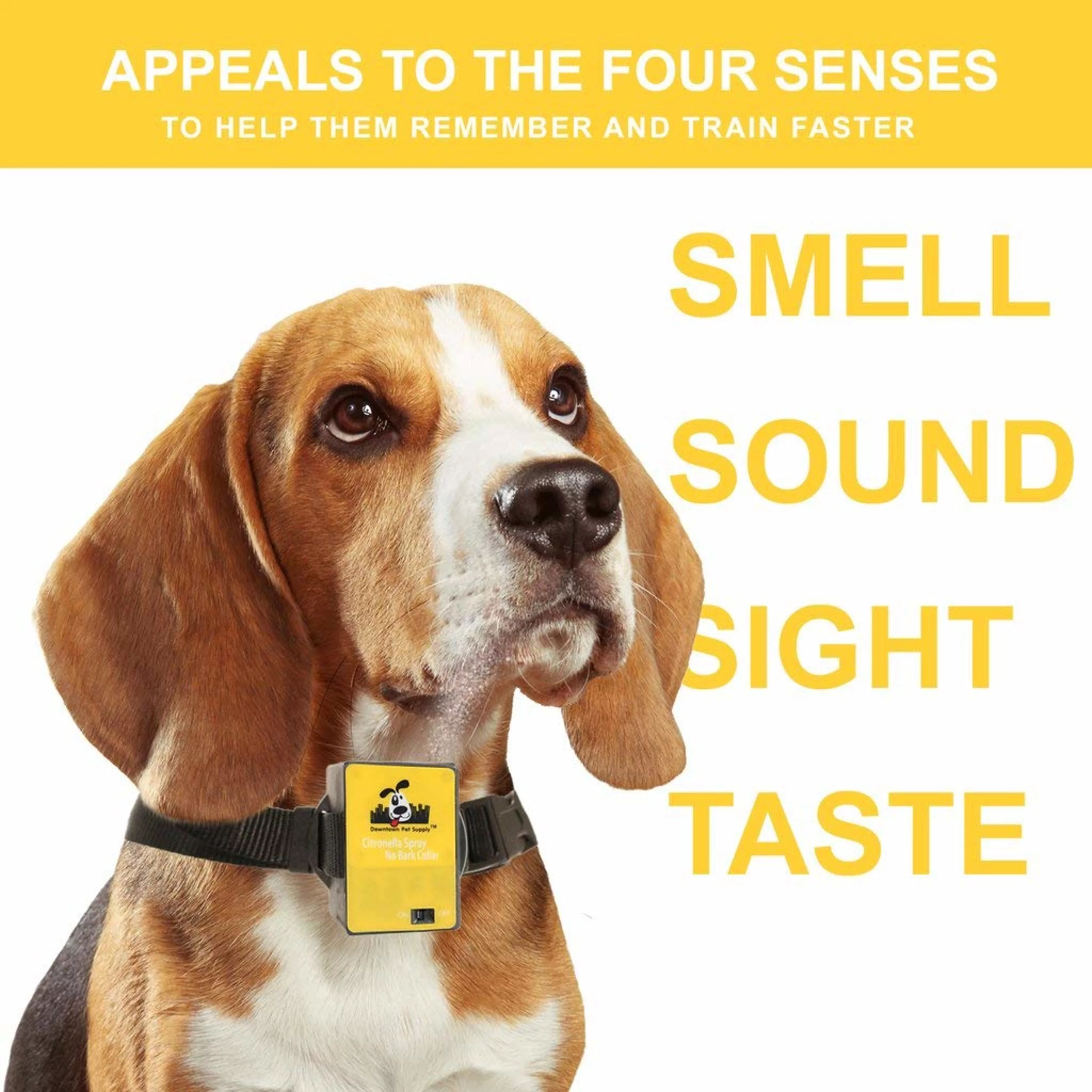 Downtown Pet Supply Citronella Bark Collar, Adjustable Dog Training Collar 1 Pack