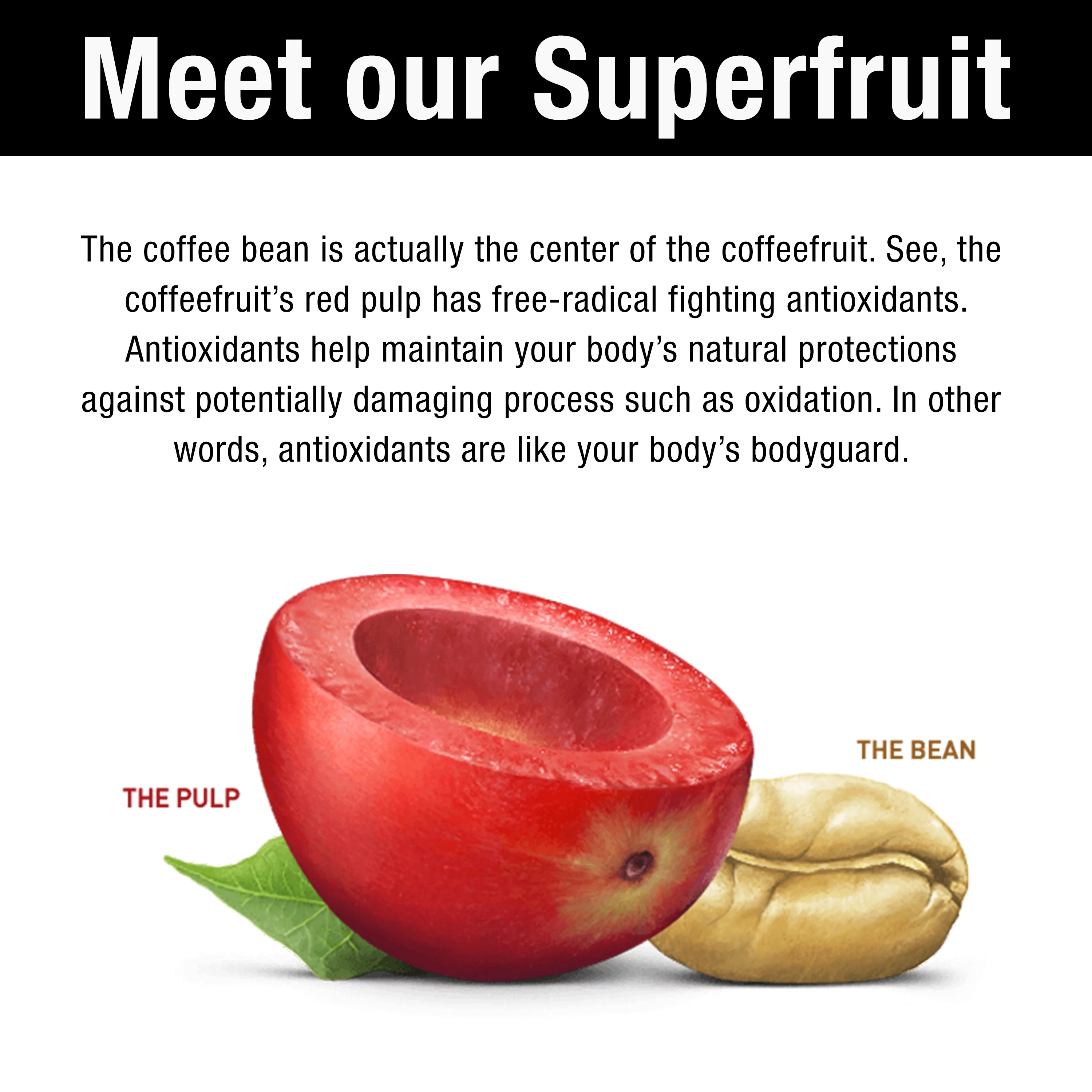 Bai Gluten-Free, Madagascar Coconut Mango, Antioxidant Infused Drinks, 18 Fl Oz, 12 Pack Bottles