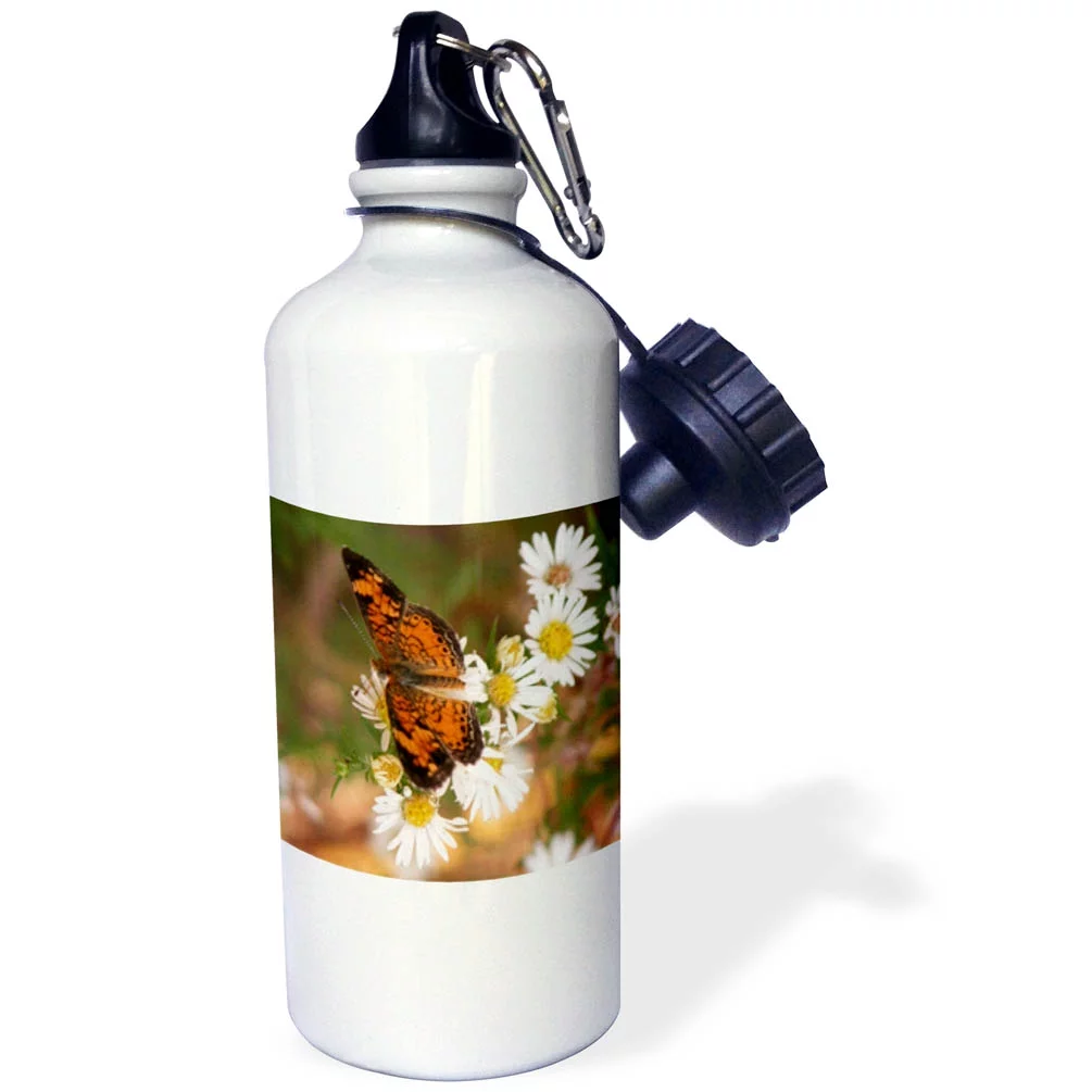 Monarch Butterfly on wild daisies 21 oz Sports Water Bottle wb-11861-1