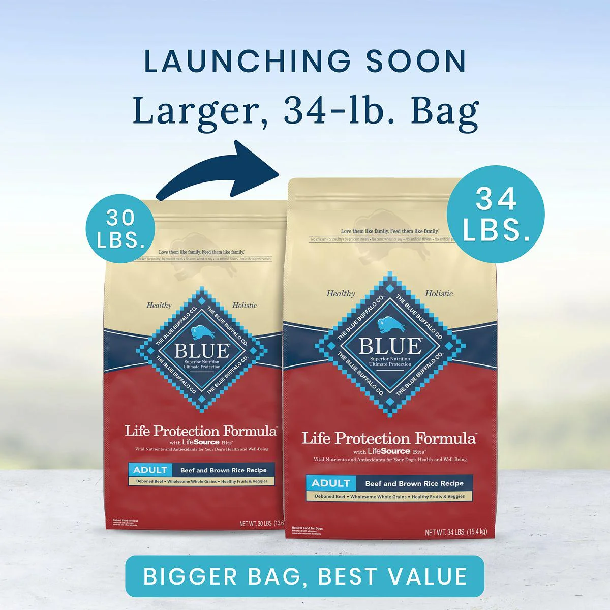 Blue Buffalo Life Protection Formula Natural Adult Dry Dog Food, Beef and Brown Rice