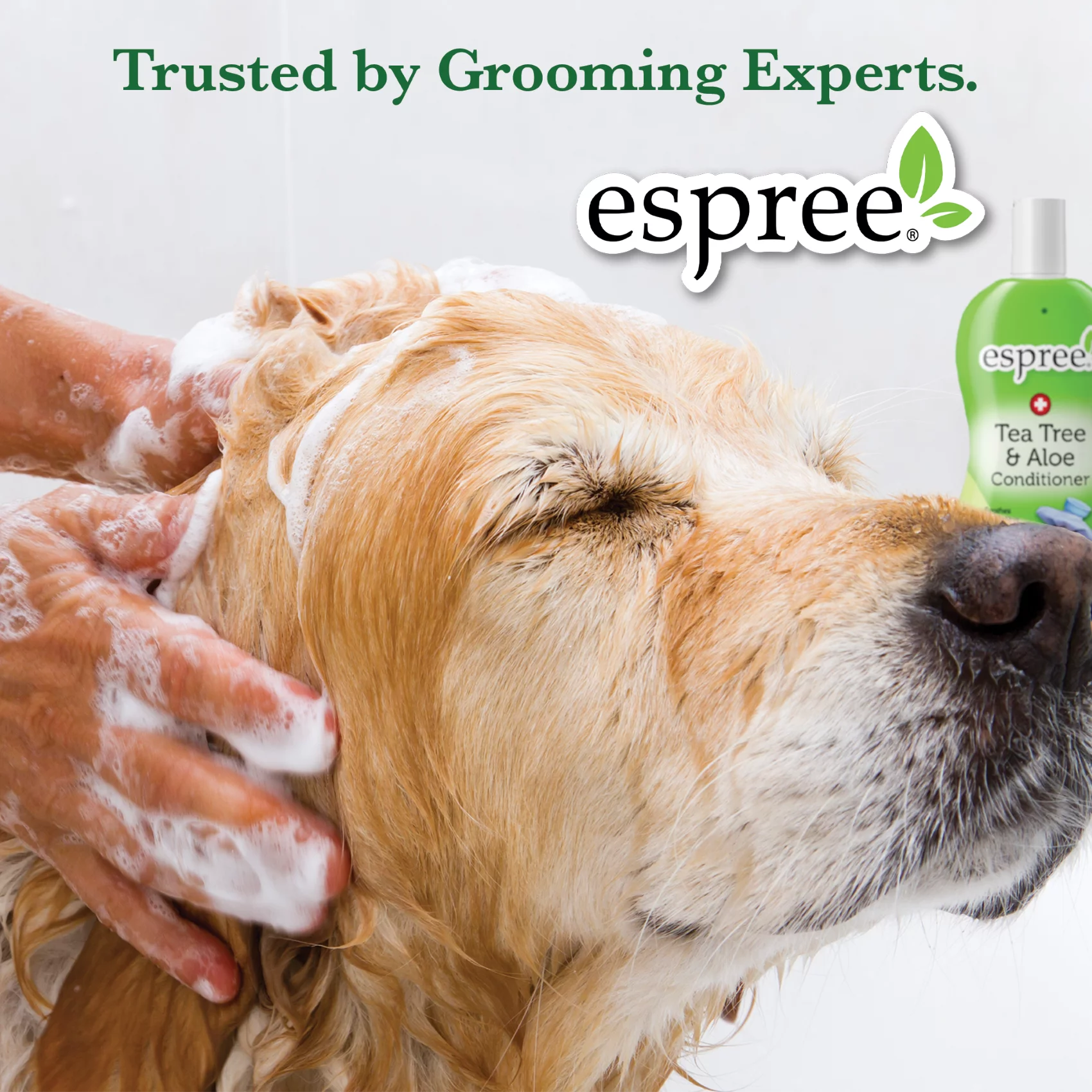 Espree Puppy Shampoo 20 oz