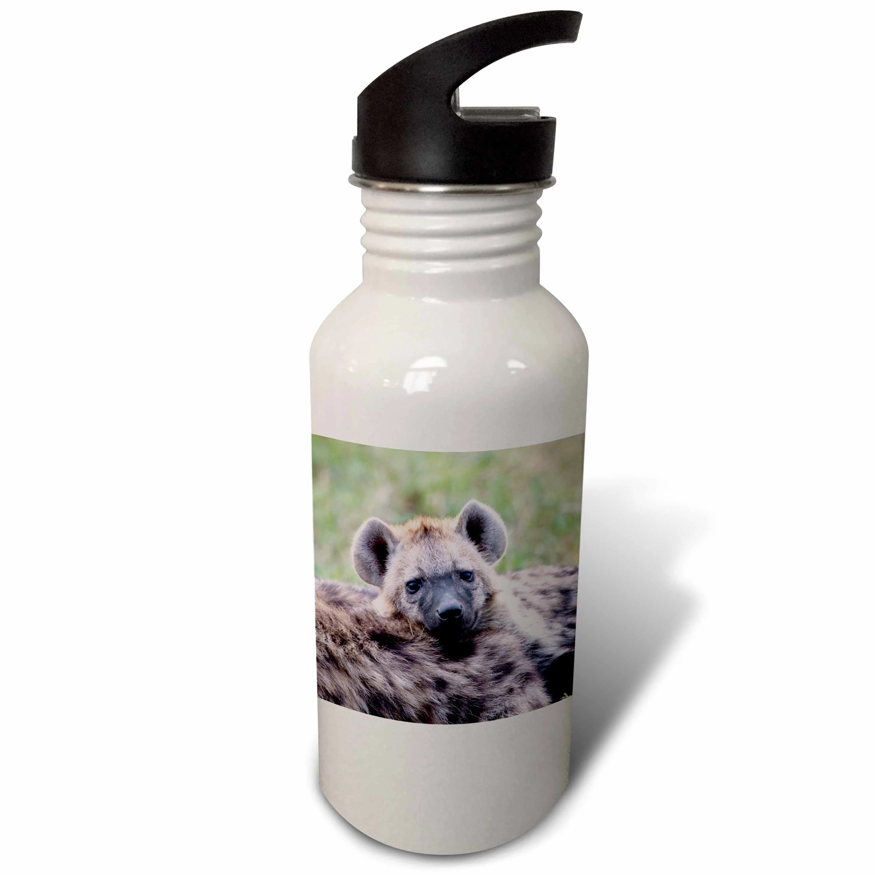 Spotted Hyena wildlife, Maasai Mara, Kenya - AF21 AJE0761 - Adam Jones 21 oz Sports Water Bottle wb-131767-1
