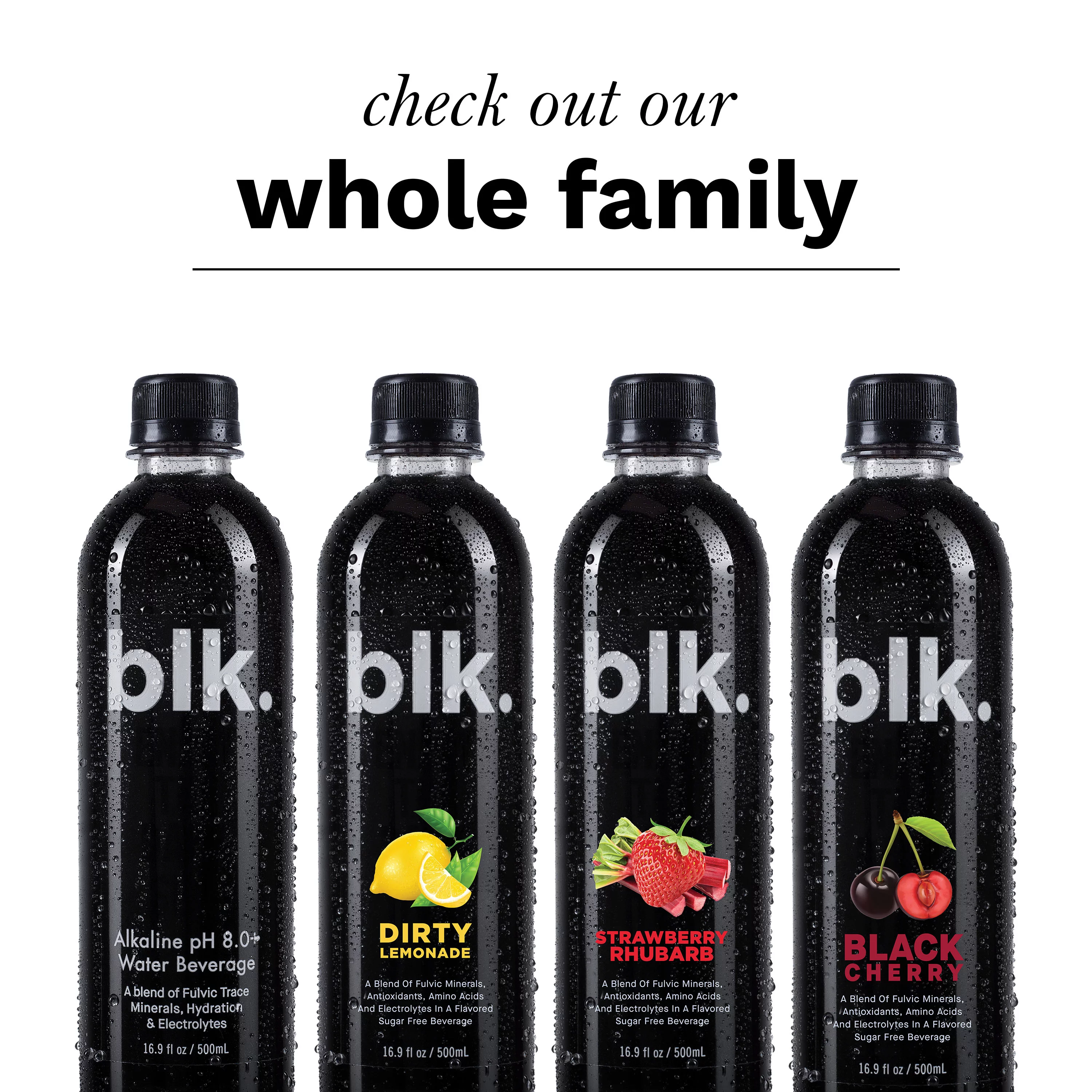 blk. Strawberry Rhubarb Fulvic Enriched Water 16.9oz / 500ml (12 Pack)