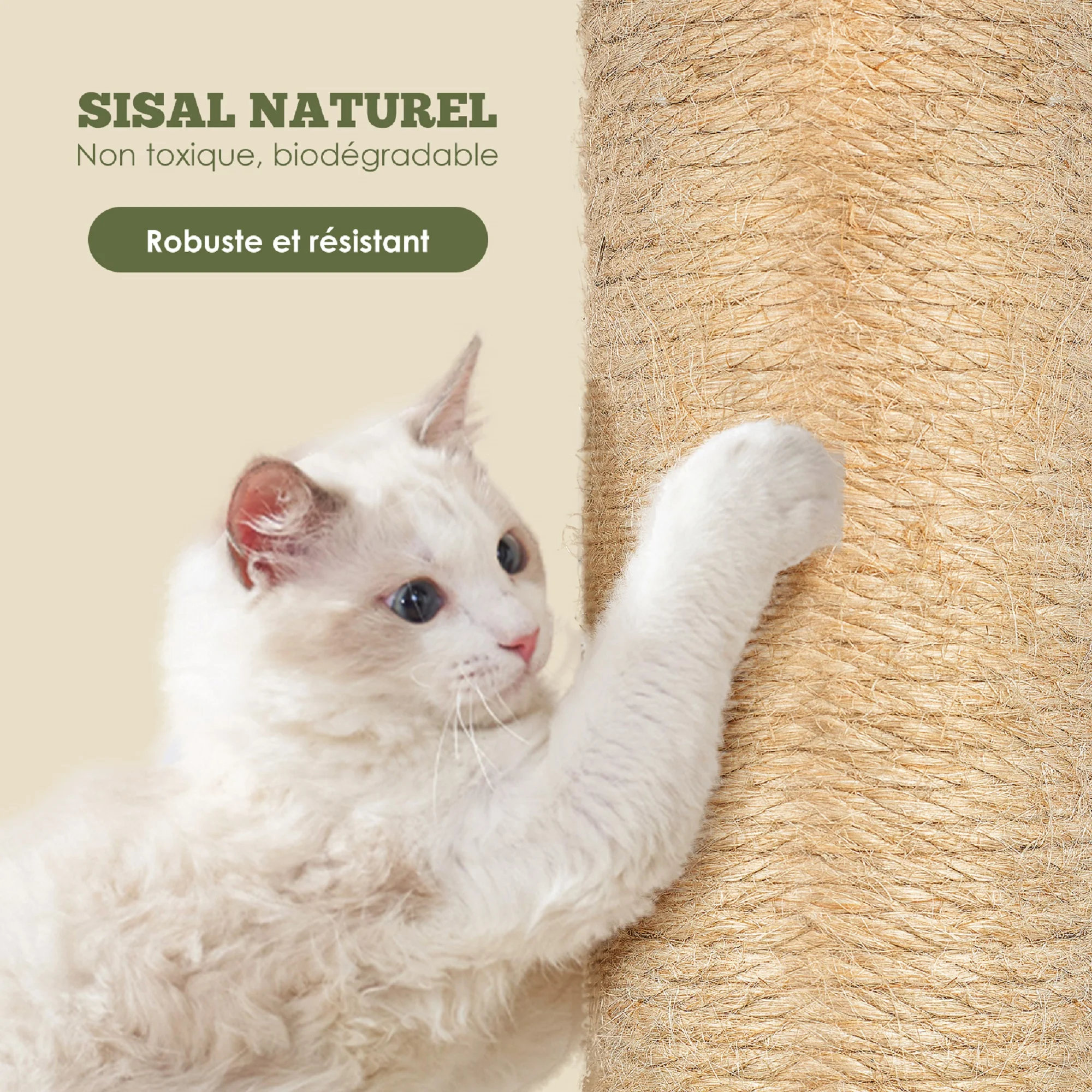 34'' Cat Scratching Post,Coconut Palm Cat Scratcher for Indoor Cats with Sisal Balls, Green