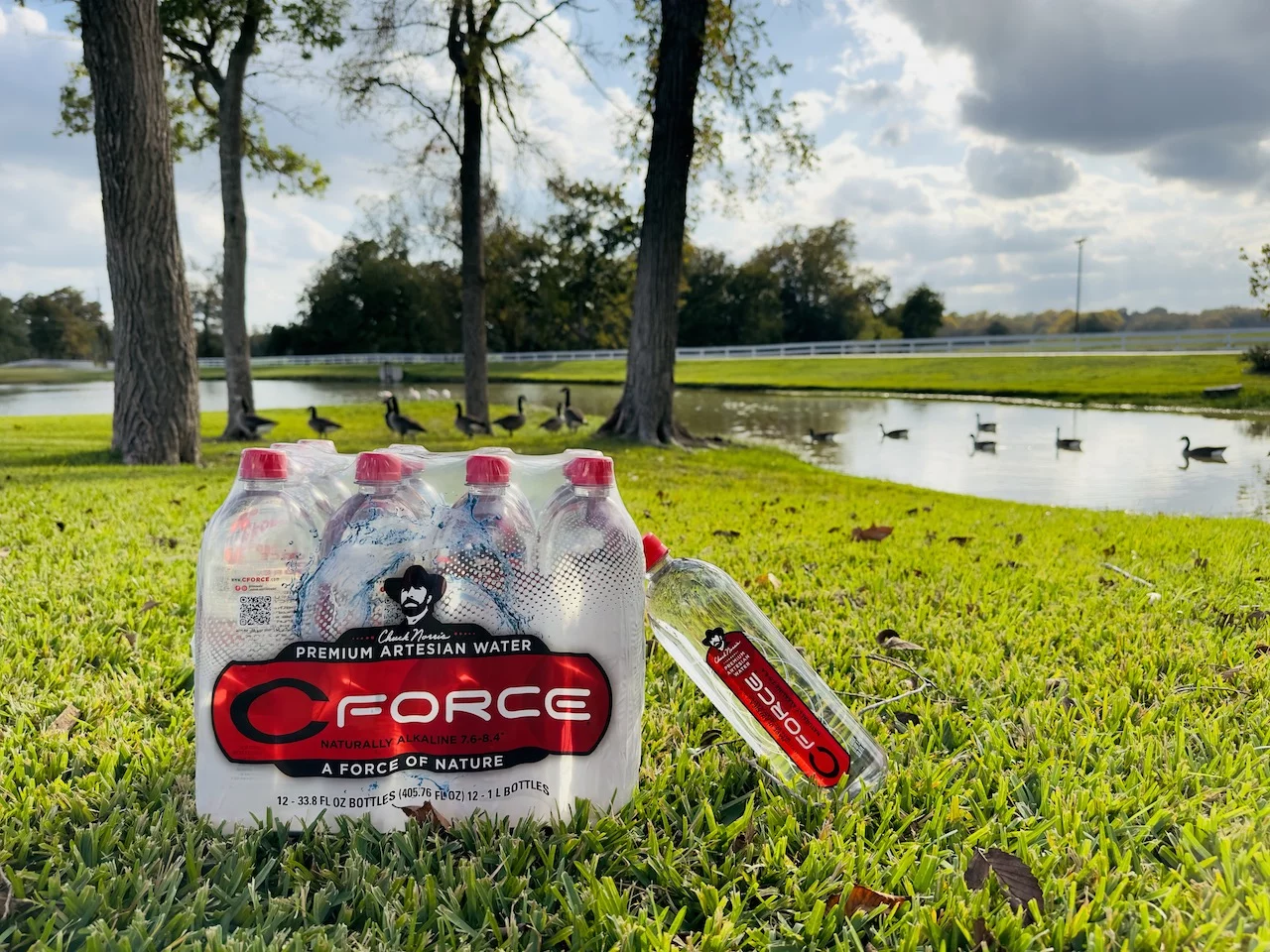 CForce Bottled Water, Naturally Alkaline Artesian Spring Water, 33.8 oz (1 Lt) Plastic Bottles (12 Pack)