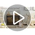DKLGG Dog Crate Furniture Side Table, Wooden Dog Crate End Table Small Dog Crate with Three Doors, Decorative Dog Furniture Dog Kennel Indoor, Dog Crates for Small Dogs