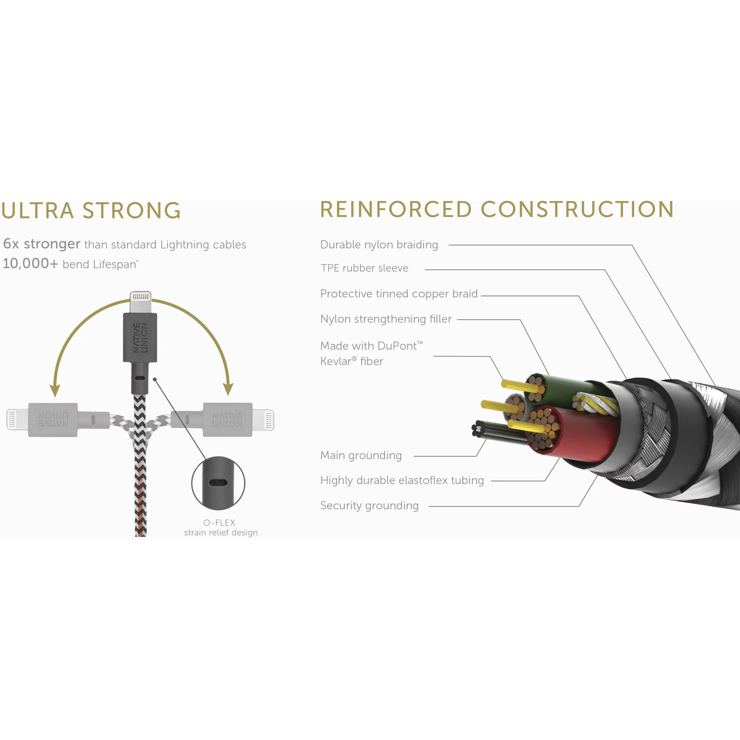 Native Union Belt - Lightning cable - Lightning male to USB male - 4 ft - zebra