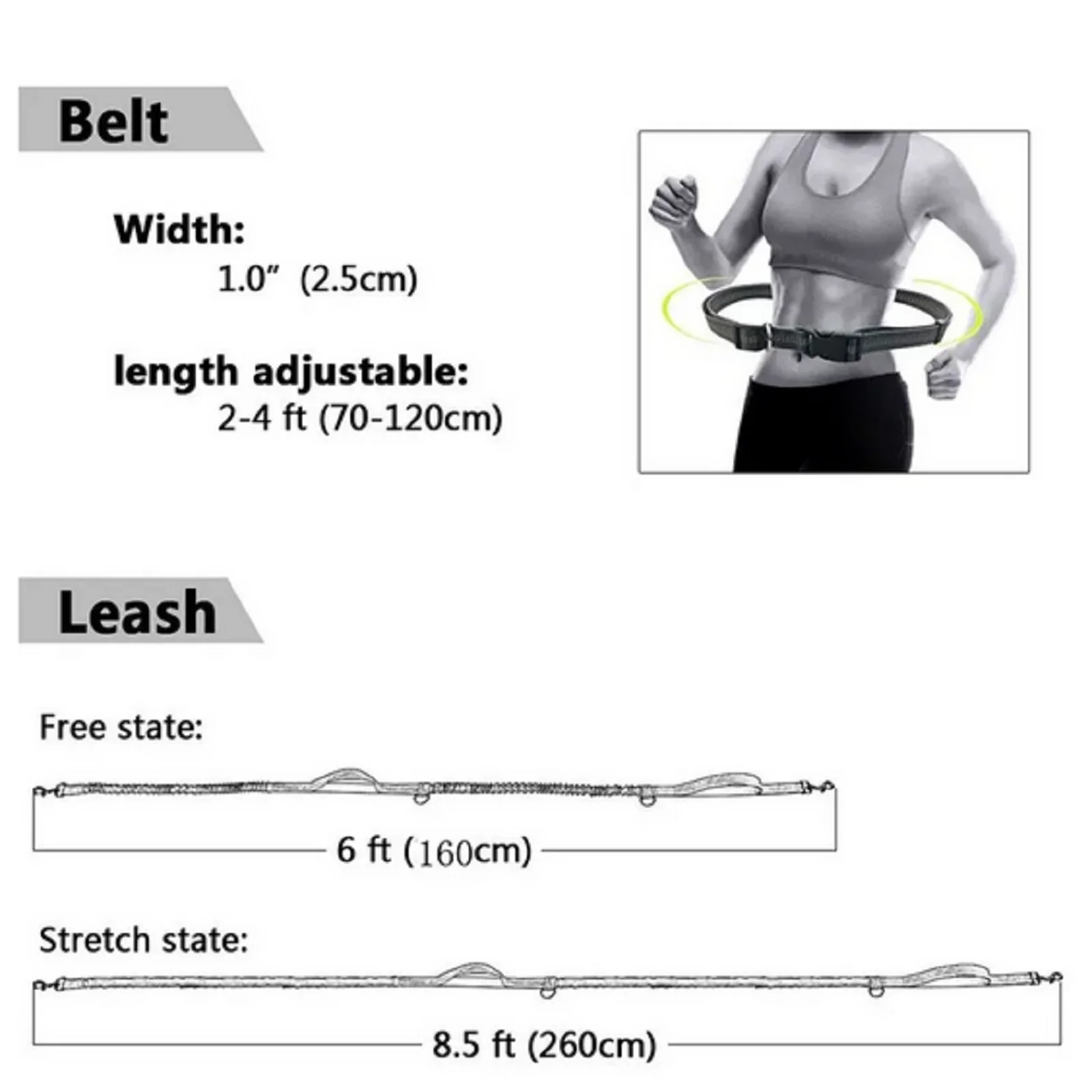 Durable Nylon Dog Leash Reflective Stitching Dual Bungees Adjustable Waist Belt Pet Supplies