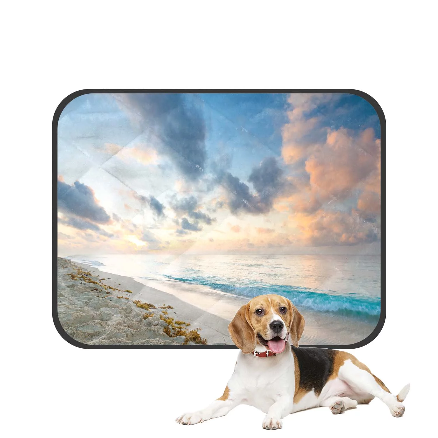 PKQWTM Caribbean beach in Playacar of Mexico Pet Dog Cat Bed Pee Pads Mat Cushion Potty Dogs Blankets Crate Bed Kennel 25x30 inch
