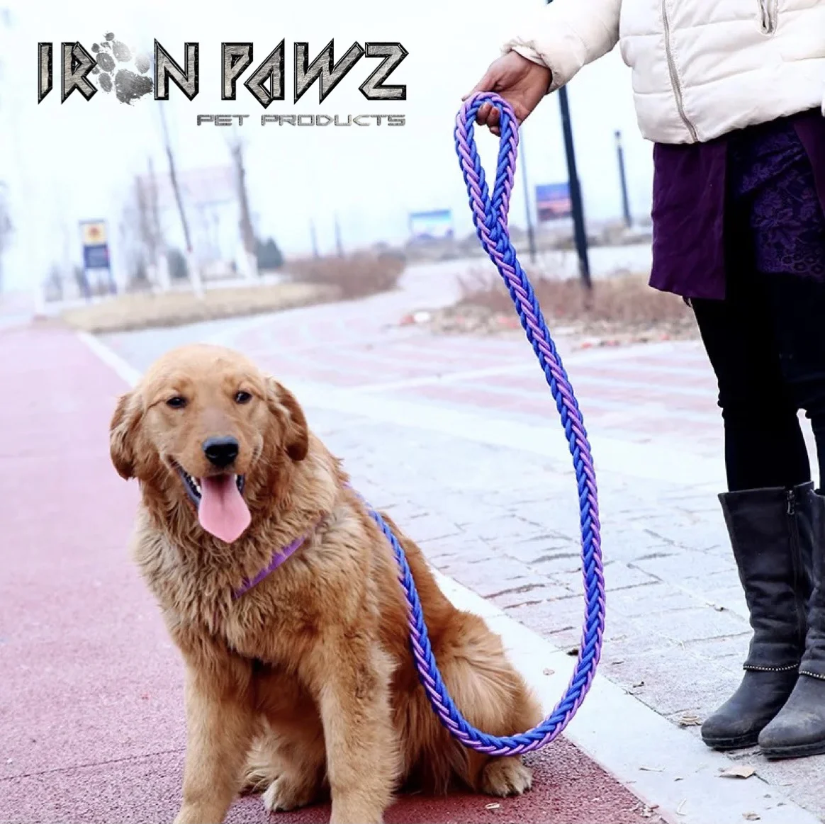 Iron Pawz Heavy Duty Professional Training Dog Leash & Collar Set Blue & Purple