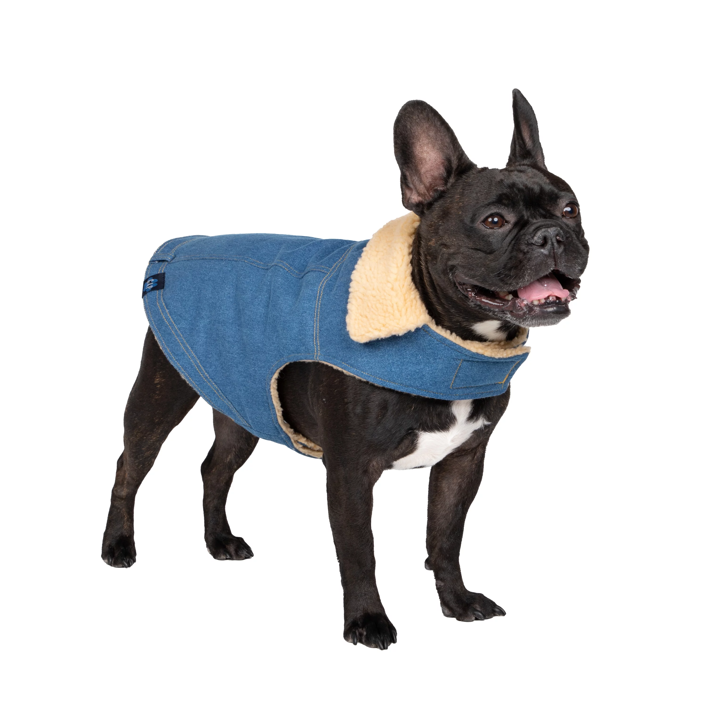 Gap Pet, Dog Clothes, Blue Denim Pet Jacket