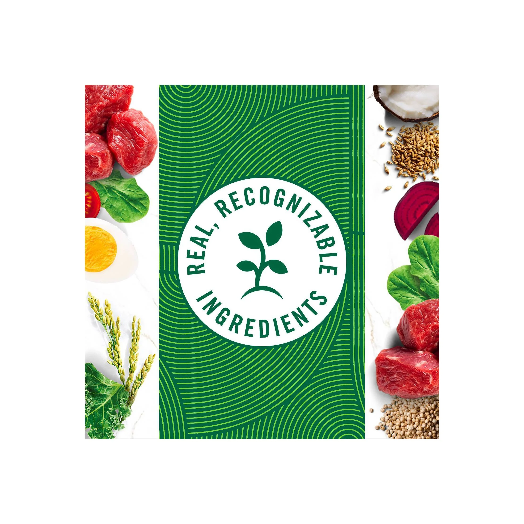 Natural Choice Lamb & Brown Rice Adult Dry Dog Food - 30lbs