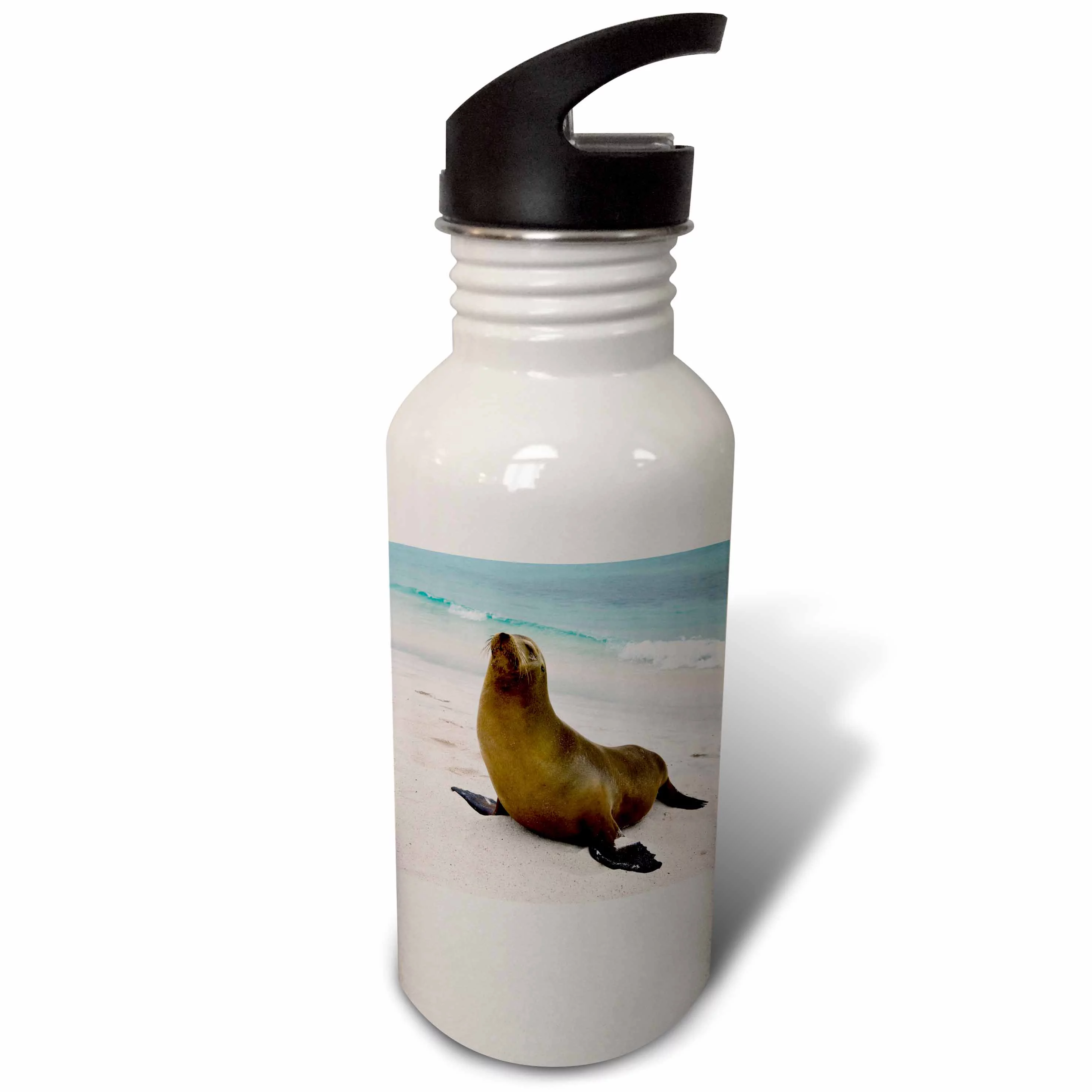 Sea Lion, Galapagos Islands - SA07 RBE0091 - Ralph H. Bendjebar 21 oz Sports Water Bottle wb-86466-1