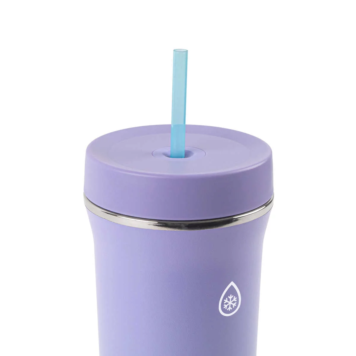 ThermoFlask 32oz Insulated Standard Straw Tumbler, 2-pack (Gray)