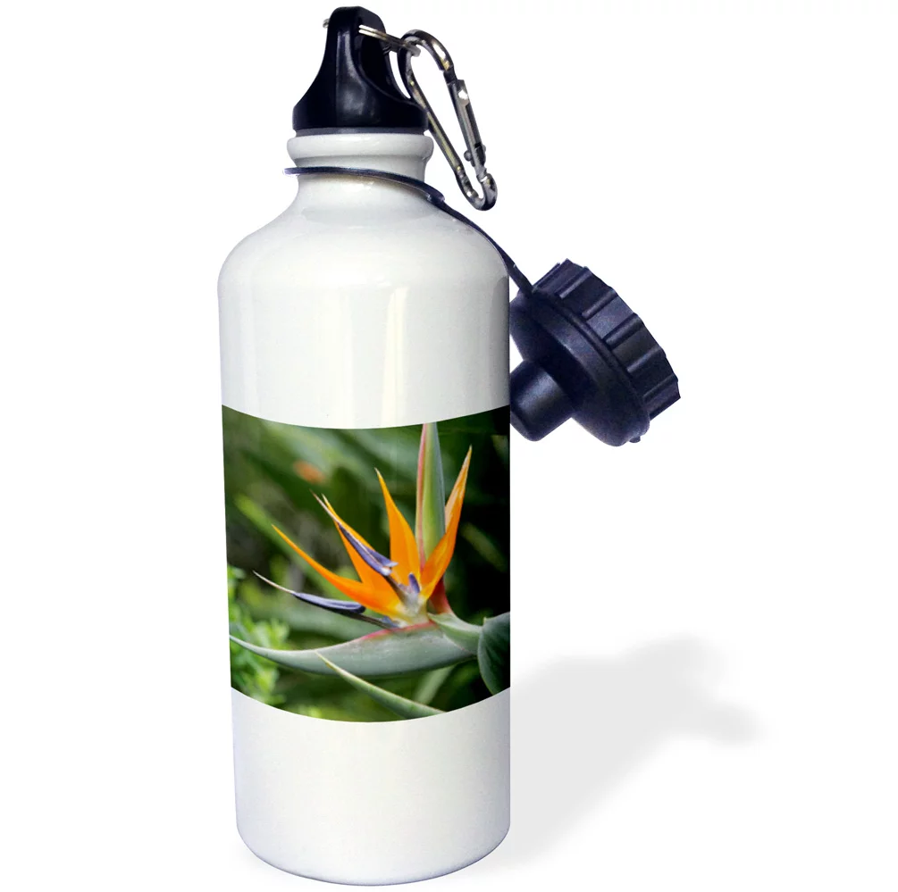 3dRose Bird of Paradise, Kula Botanical Gardens, Hawaii - US12 DPB0020 - Douglas Peebles, Sports Water Bottle, 21oz
