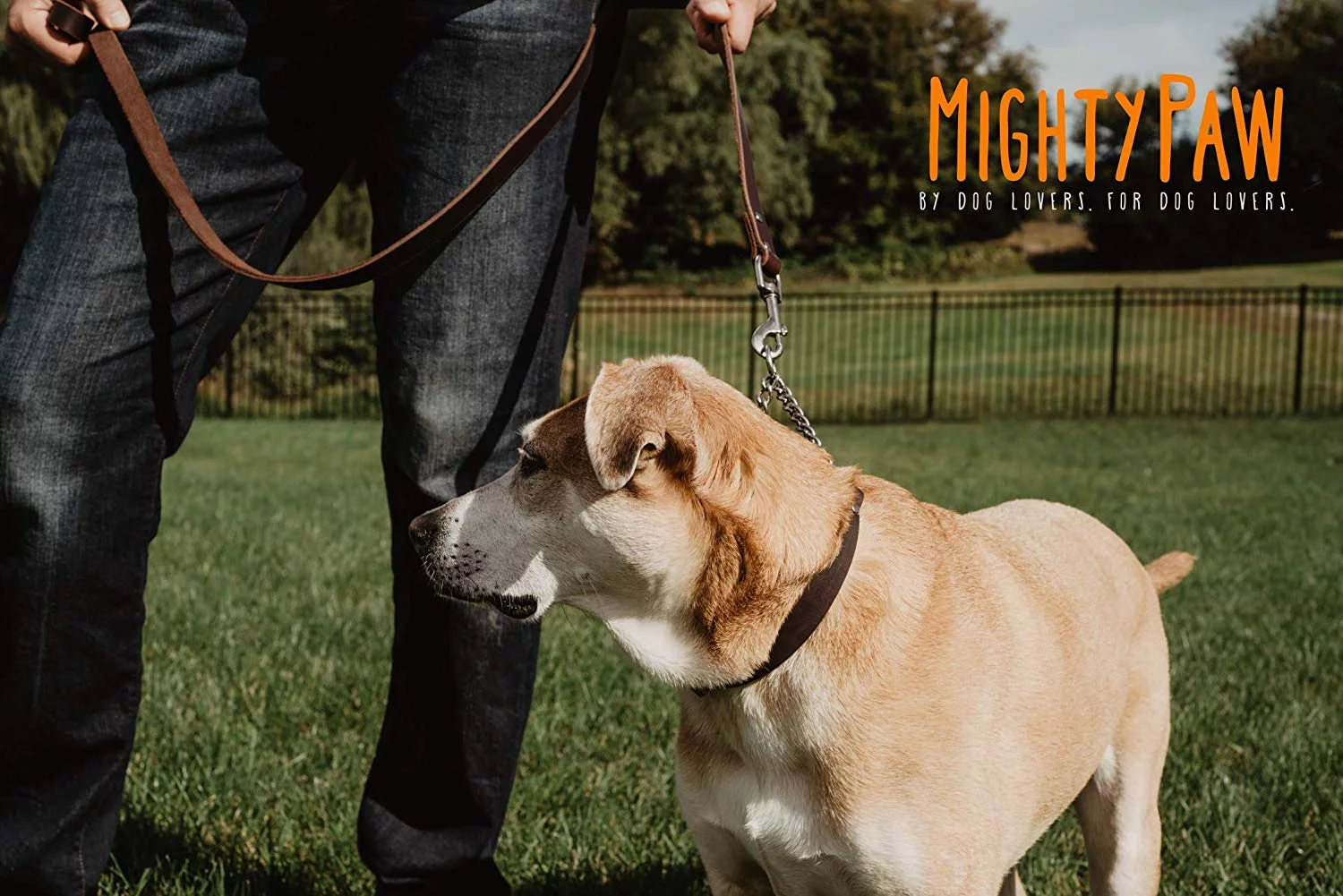 Mighty Paw Leather Training Collar, Martingale Collar, Stainless Steel Chain - Limited Chain Cinch Collar