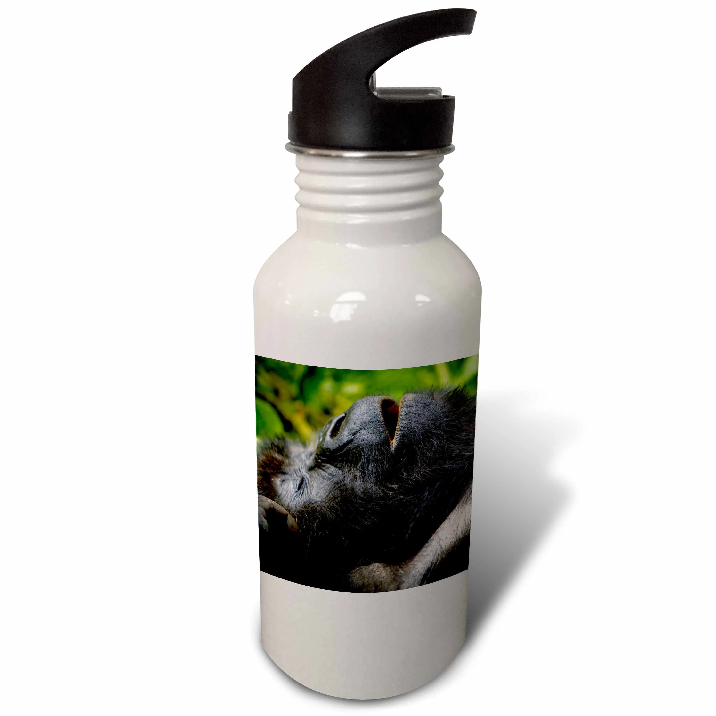 Rwanda, Volcanoes Park, Mountain Gorillas - AF35 RBE0110 - Ralph H. Bendjebar 21 oz Sports Water Bottle wb-132070-1