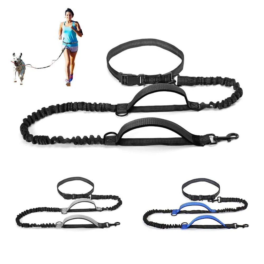 High Qulity Retractable Hands Free Dog Leash for Running Dual Handle Bungee