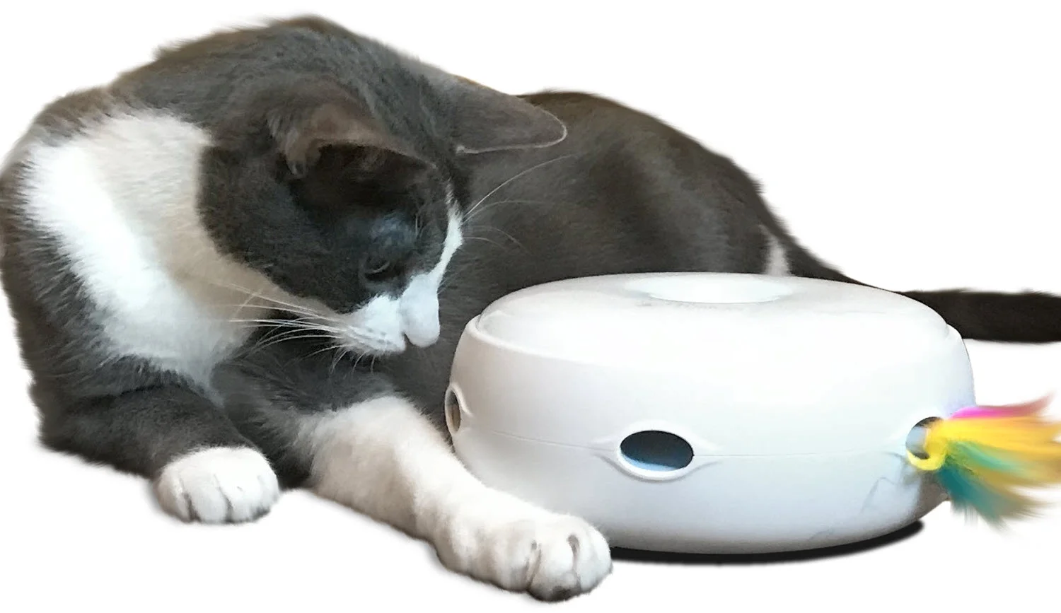 PetFusion Ambush Interactive Electronic Cat Toy