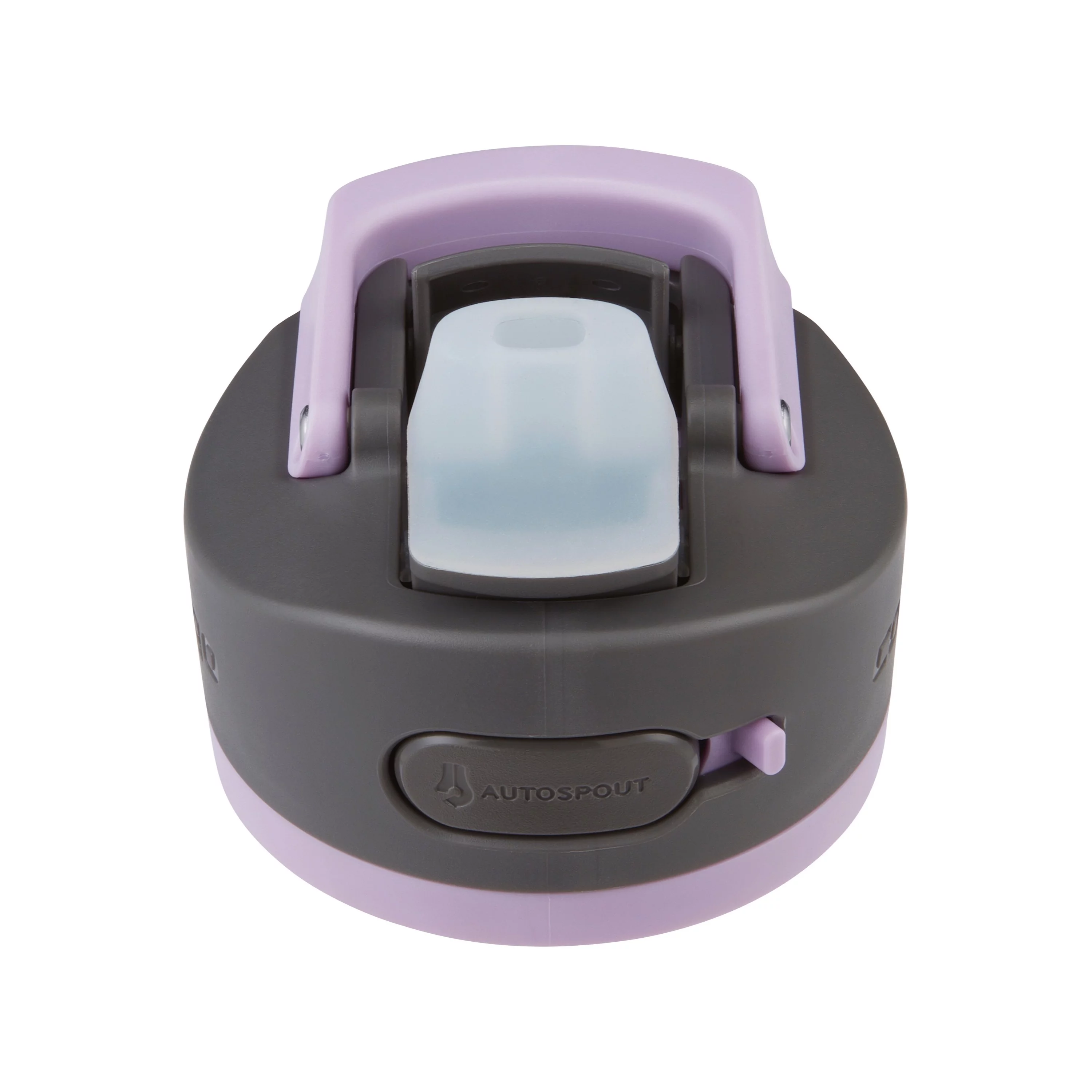 Contigo Ashland 2.0 24 oz Lavender and Black Plastic Water Bottle with Straw Lid