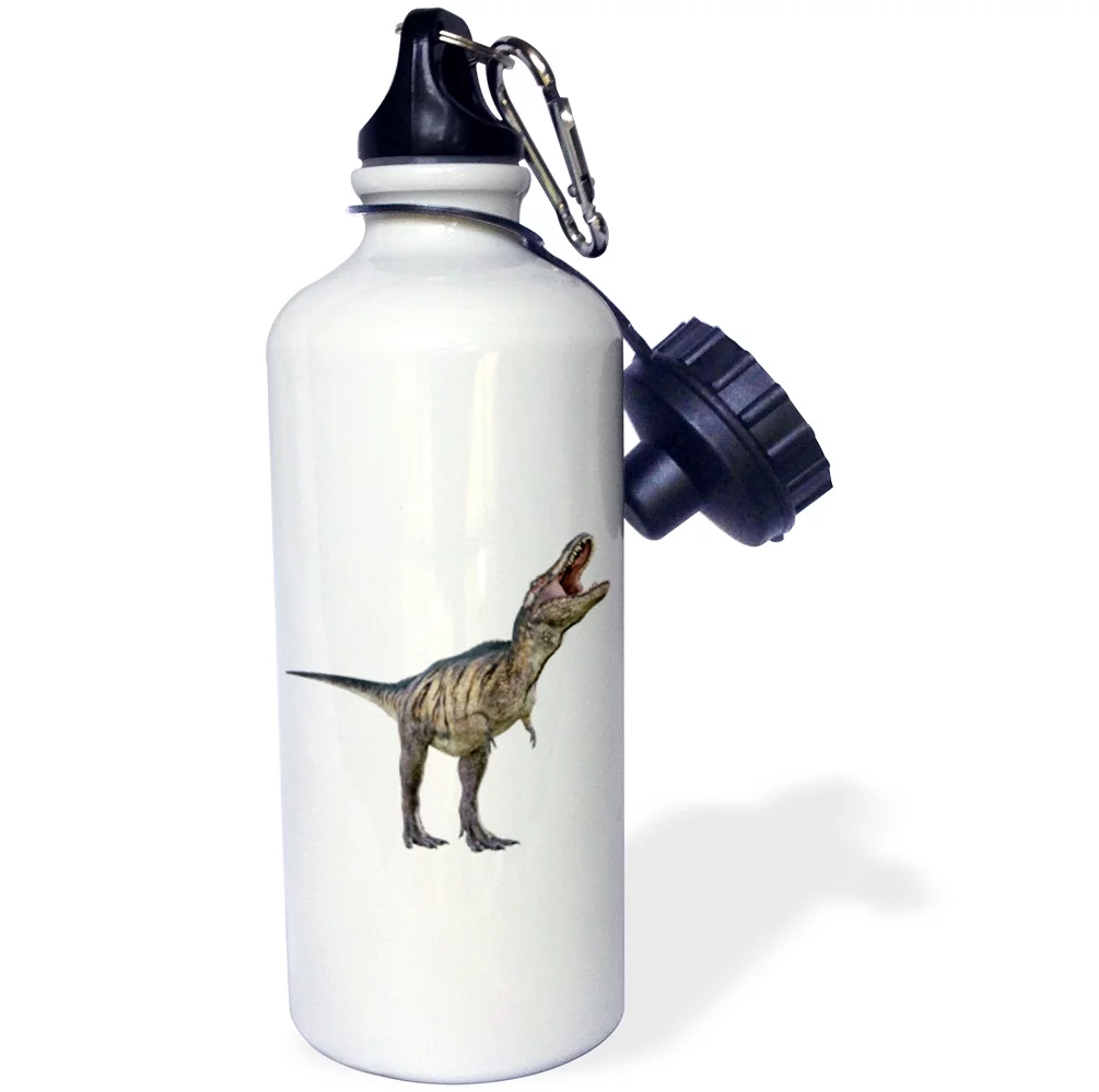 3dRose Tyrannosaurus Rex Dinosaur Looking to the Left and Roaring - Water Bottle, 21-ounce