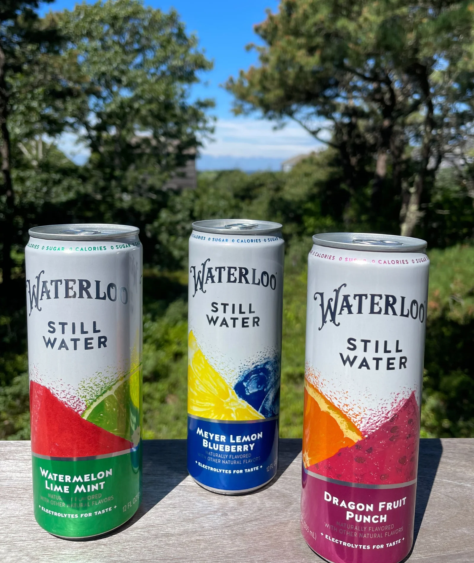 Waterloo Still Water, Watermelon Lime Mint, 12 fl oz, 24 Pack Cans