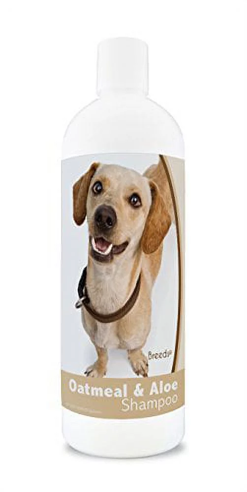Healthy Breeds Dog Shampoo Oatmeal with Aloe for Chiweenie - Over 200 Breeds - 16 oz - Mild & Gentle for Sensitive Skin - Hypoallergenic Formula & pH Balanced