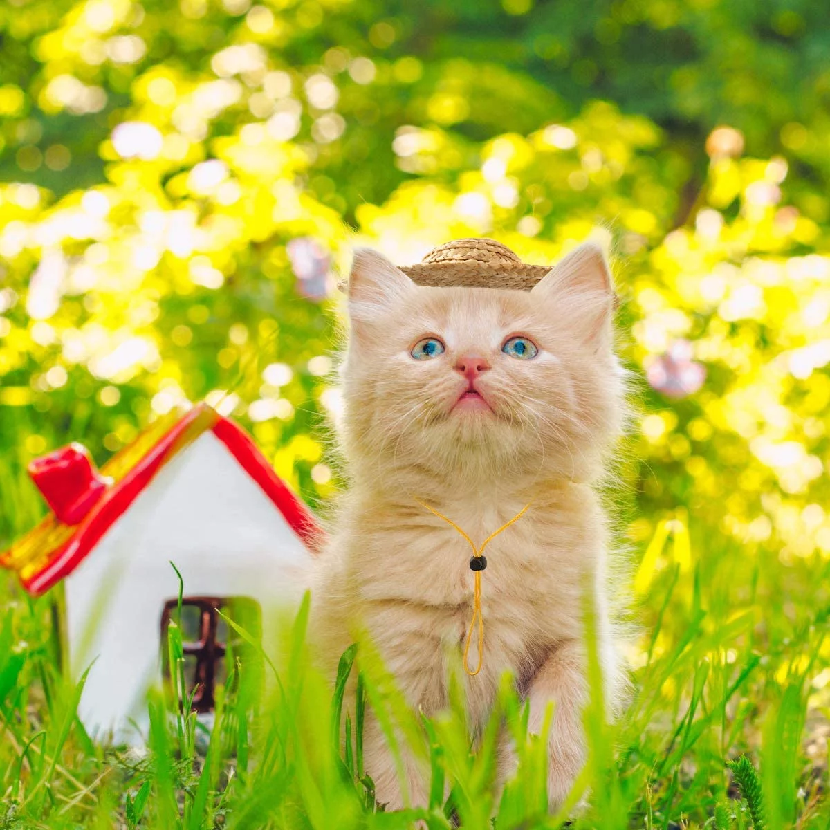 POPETPOP Adjustable Chihuahua Straw Hat, Fashion Dog Sombrero Hat Cap, Mexican Party Hawaii Garden Sun Bucket Cap for Puppy and Kitty - Size S