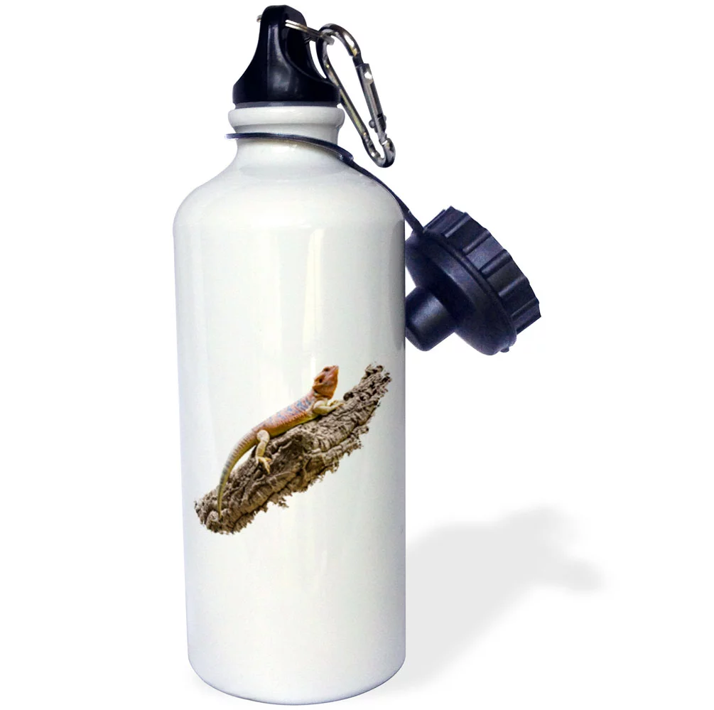3dRose Central Bearded Dragon Lizard Reptile Pogona vitticeps on branch - Straw Water Bottle, 21-ounce