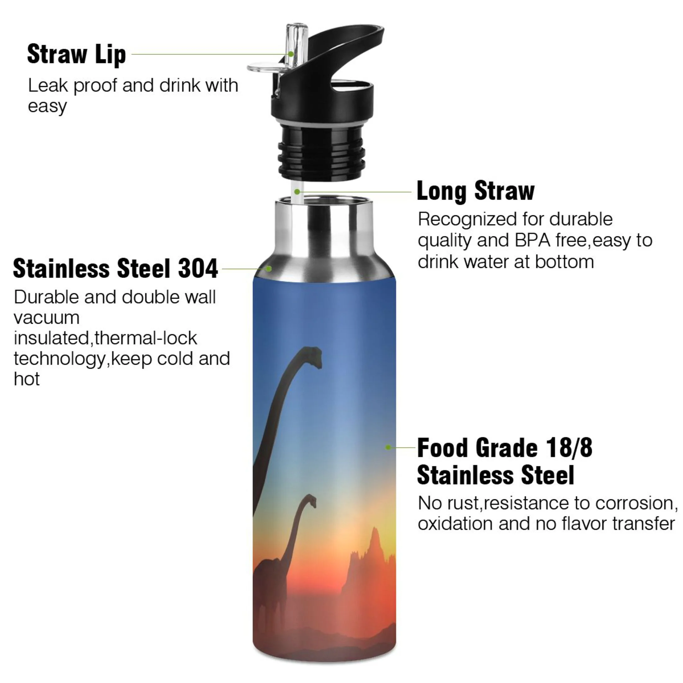 Stainless Steel Water Bottle Dinosaurs with Straw Lid Vacuum Insulated Keeps Hot and Cold Leak Proof Flask Jug for Gym Travel Sports Cycling Outdoor 20 OZ