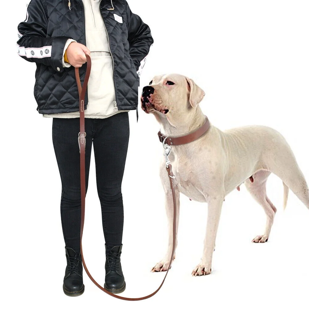 Pet Artist 6FT Real Leather Dog Leash Heavy Duty Training Leashes with Locking Carabiner
