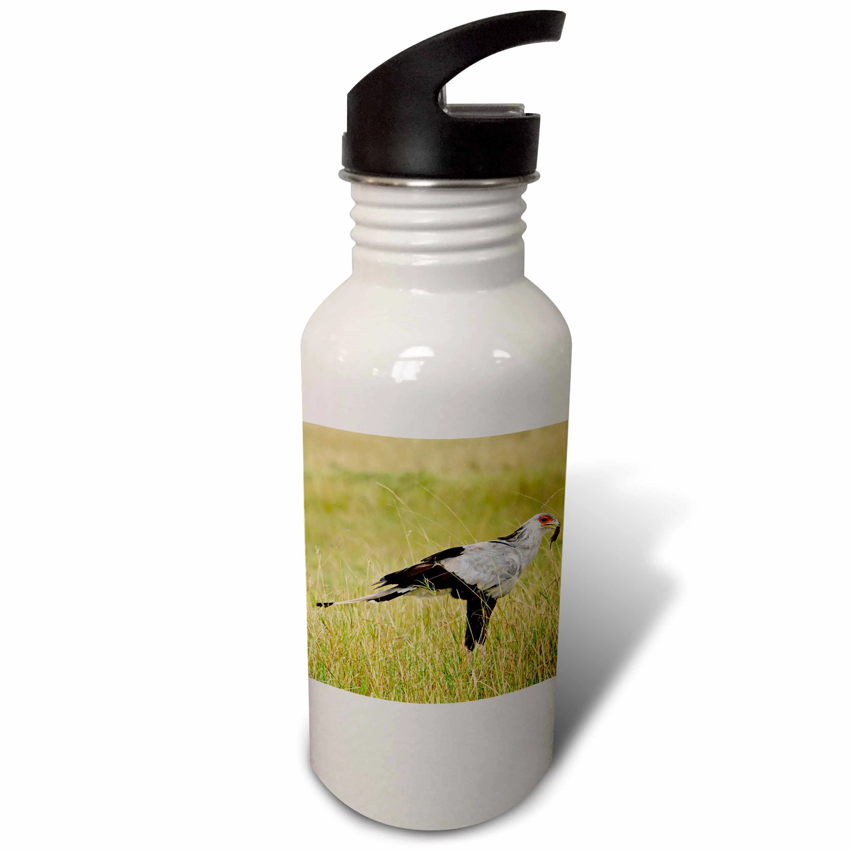 Secretary Bird, Masai Mara Game Reserve, Kenya - NA02 AJE0324 - Adam Jones 21 oz Sports Water Bottle wb-83621-1