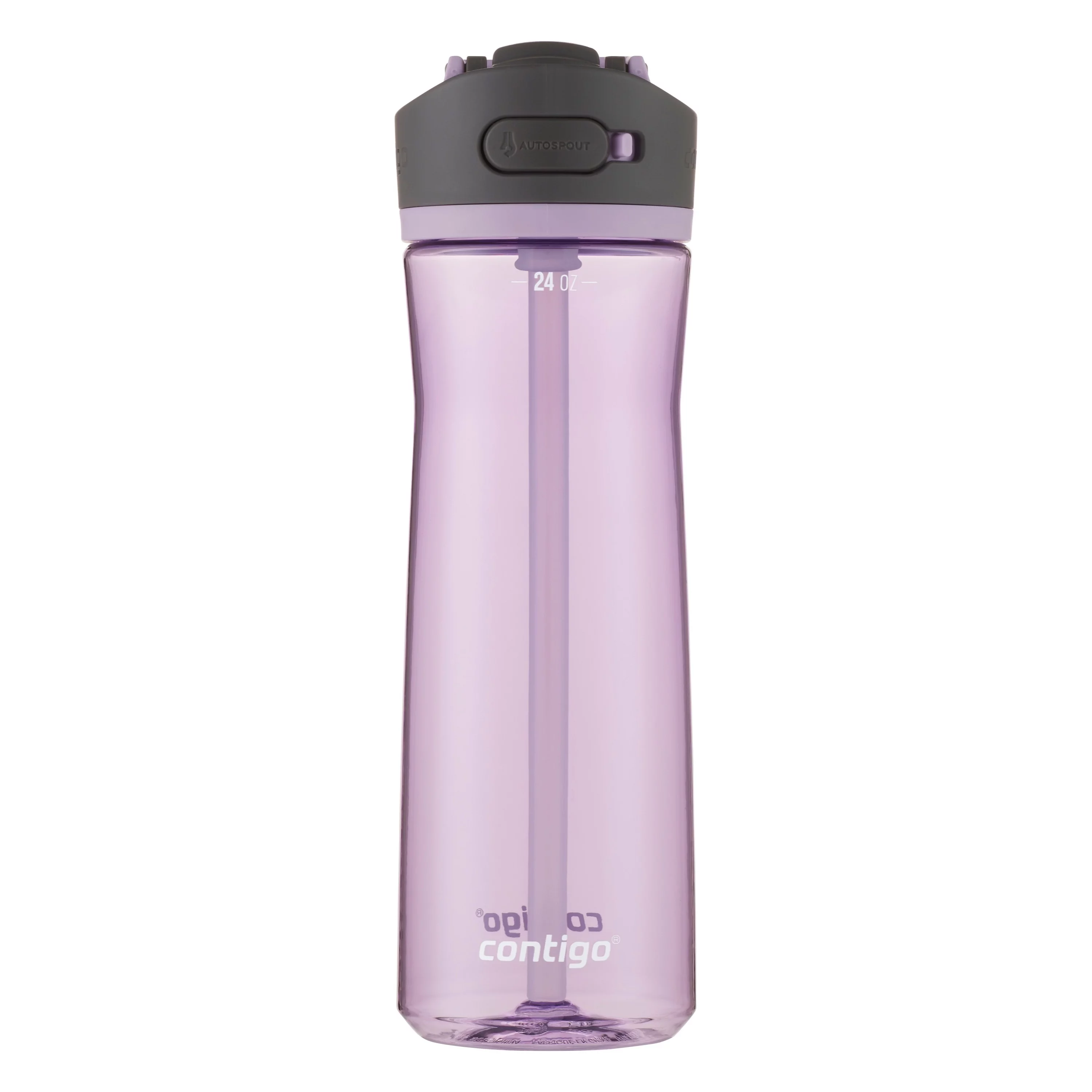 Contigo Ashland 2.0 24 oz Lavender and Black Plastic Water Bottle with Straw Lid