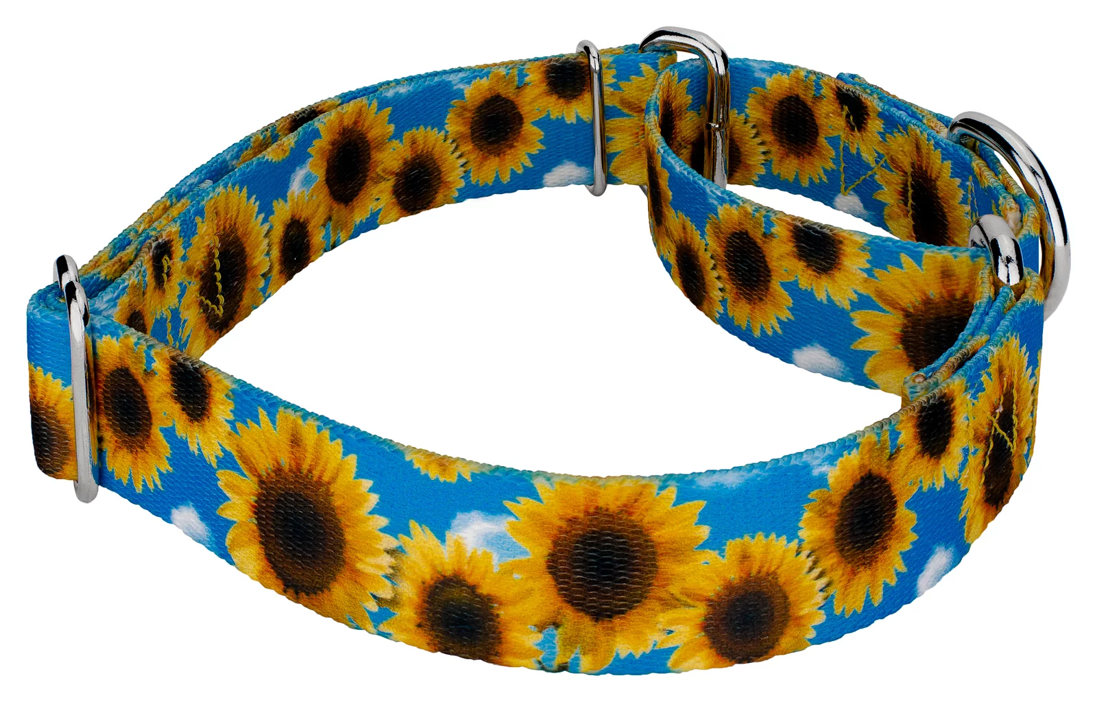 Country Brook Design® Sunflowers Martingale Dog Collar and Leash, Extra Large