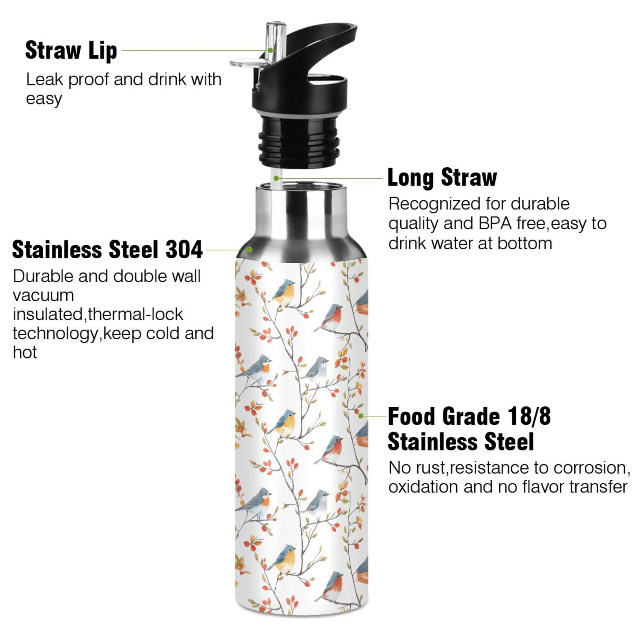 Birds on Branches Water Bottles Insulated Thermos Kids Stainless Steel Bottle with Straw Lid Flask Leakproof for Sports Gym 20 oz