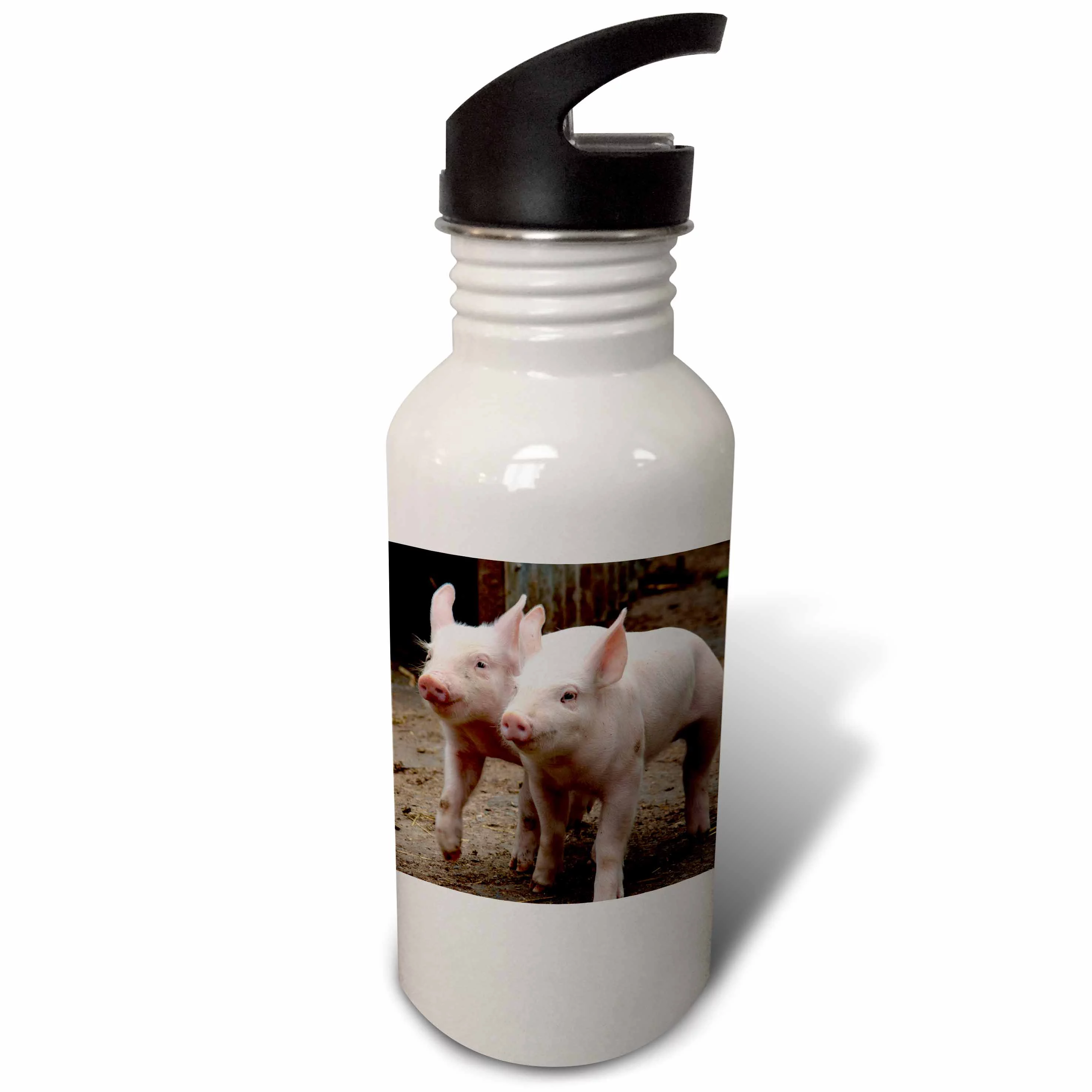 Muckross Farms, Pigs, County Kerry, Ireland - EU15 TNO0146 - Tom Norring 21 oz Sports Water Bottle wb-137492-1