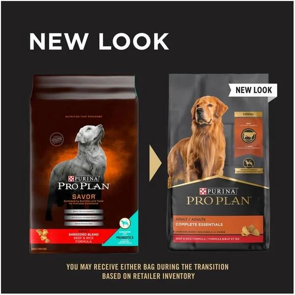 35 lb Savor Shredded Blend Beef and Rice Formula Adult Dog Food