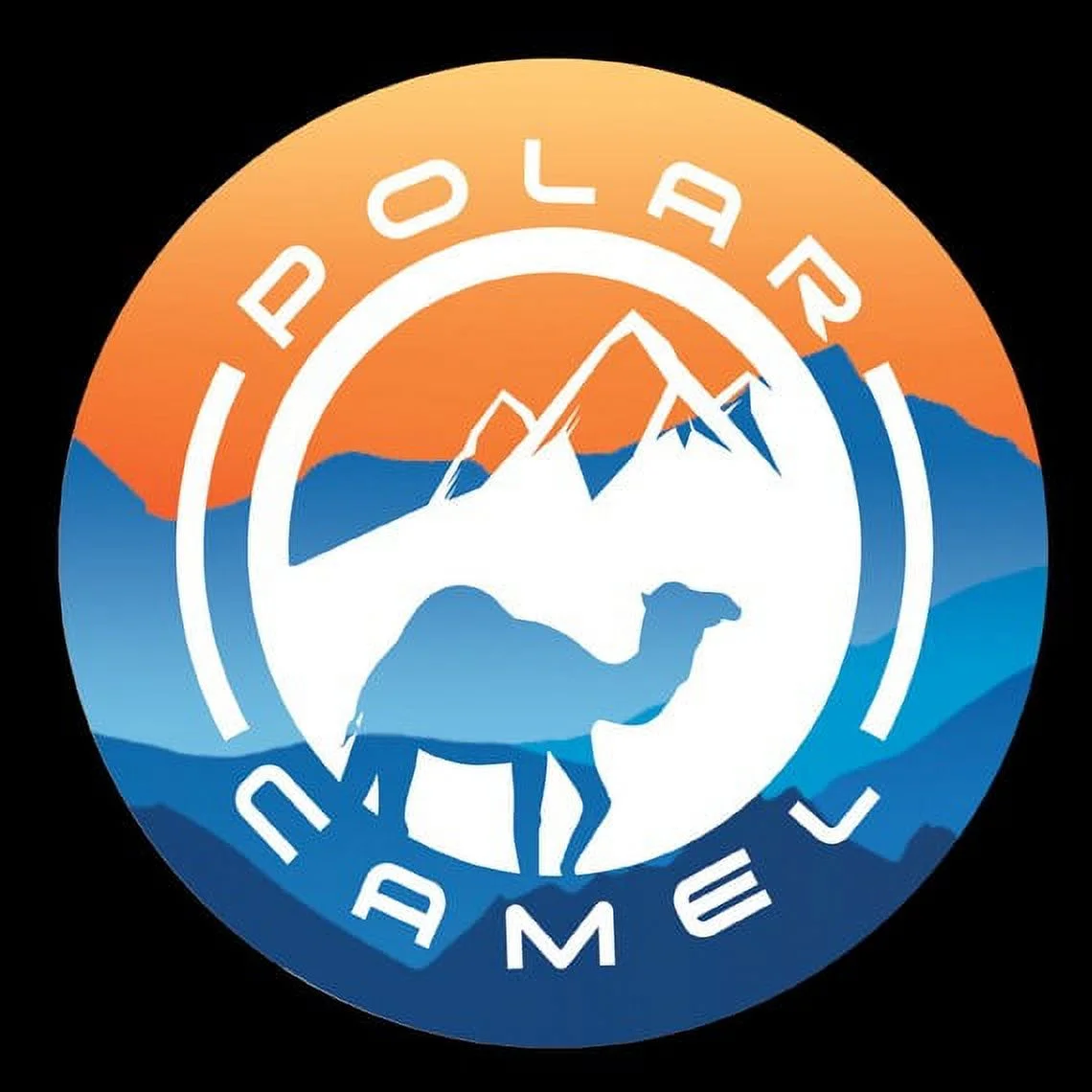 Polar Camel 15 Oz. Vacuum Insulated Mug with Slider Lid