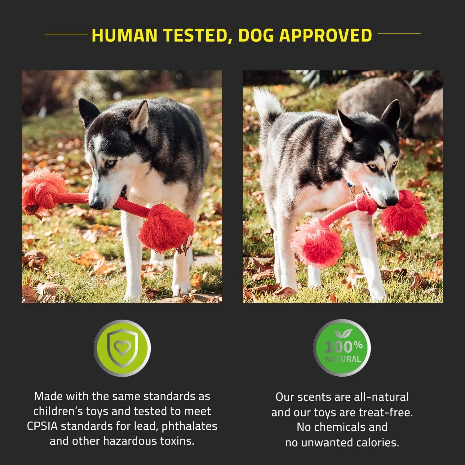 Playology - Dri-Tech Rope Dog Toy - Medium - Engaging All-Natural Beef Scent/Red