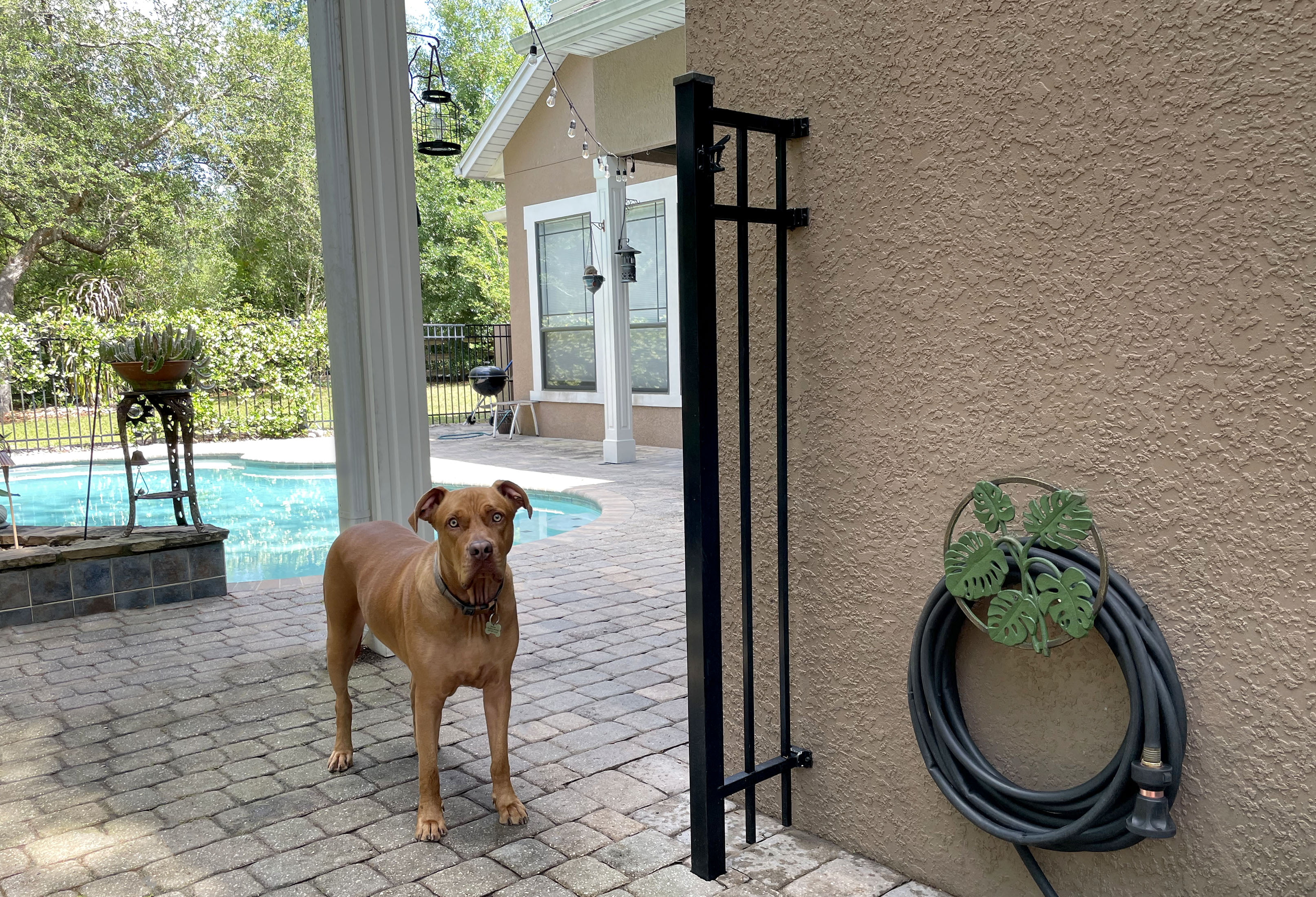 Zeckos Green Cast Iron Monstera Leaf Wall Mounted Hose Holder