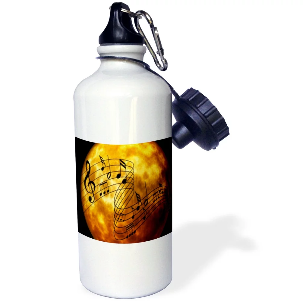3dRose Image of Bright Moon With Musical Notes - Straw Water Bottle, 21-ounce
