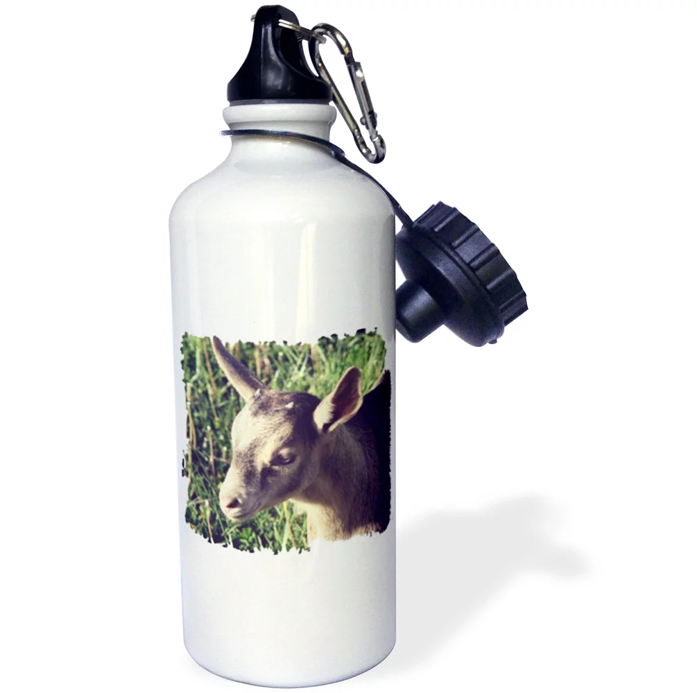 3dRose Dairy Goat Billy Kid Photographed by Angelandspot - Straw Water Bottle, 21-ounce