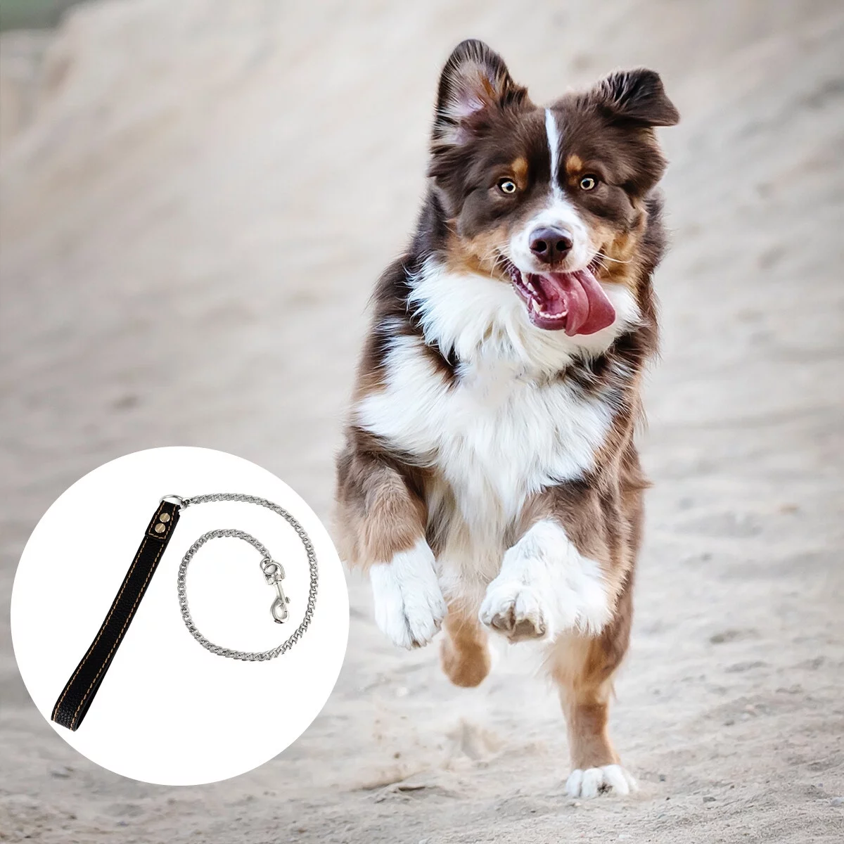 OUNONA Leash Dog Pet Chain Rope Walking Running Belt Metal Training Puppy Choke Collar Cat Traction