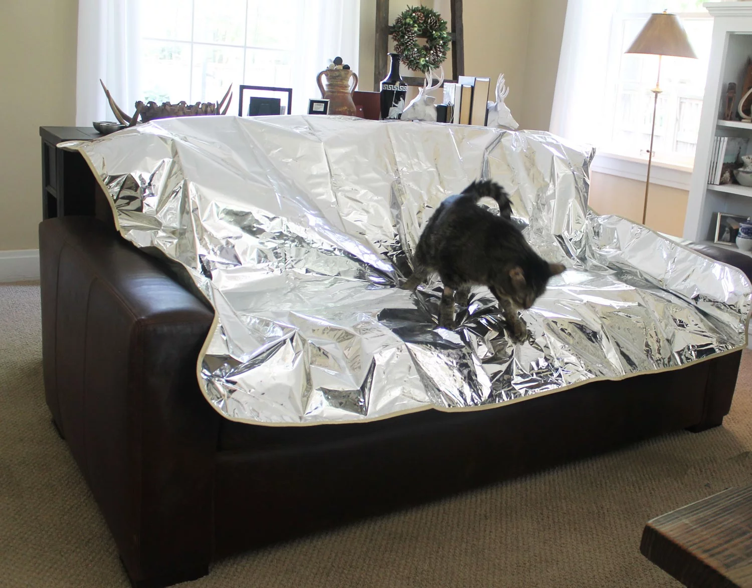 Enthusiast Gear Pet Repellent Mat - Non Electric Cat & Dog Deterrent Mat