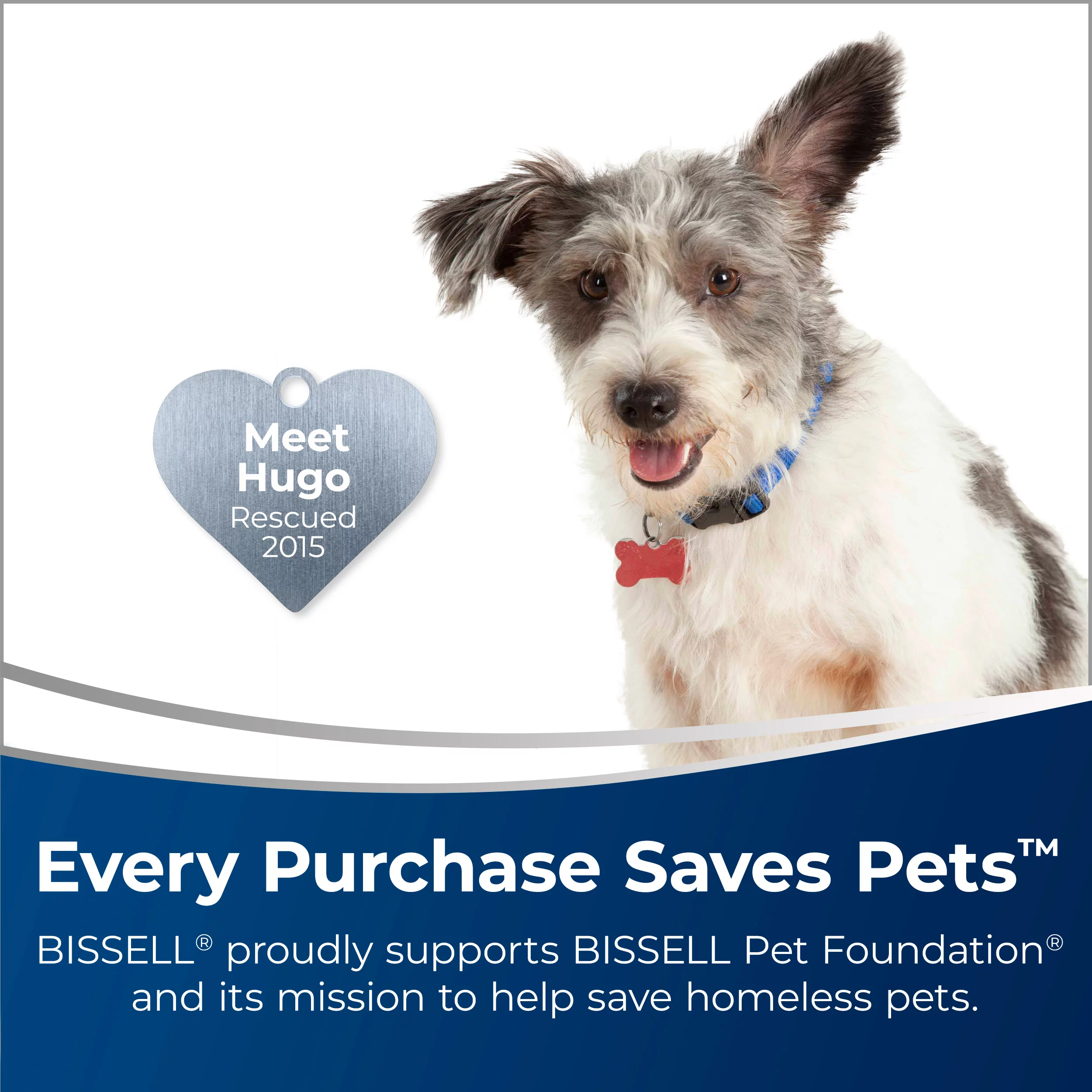 Bissell JetScrub Upright Carpet Washer and Spot and Stain Remover -  2526