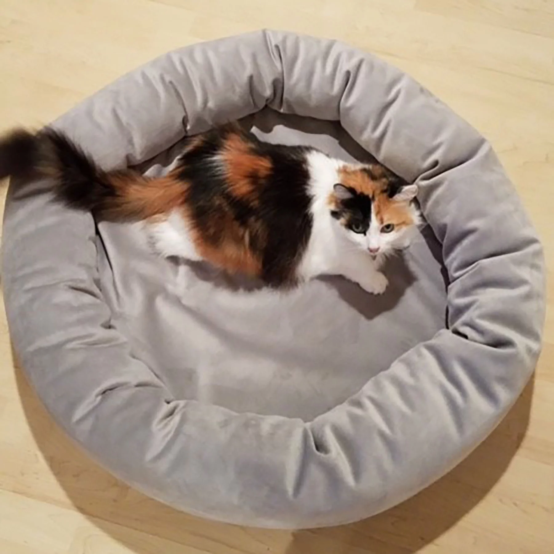 Luxury Velvet Dog Bed, Washable Cloud-Like Memory Foam, Size Small in Ash