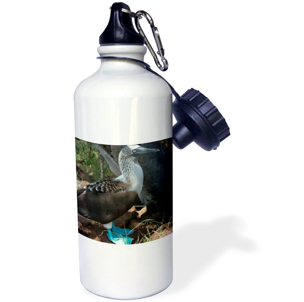Ecuador Galapagos Islands Blue-footed Booby - SA07 CMI0707 - Cindy Miller Hopkins 21 oz Sports Water Bottle wb-86130-1