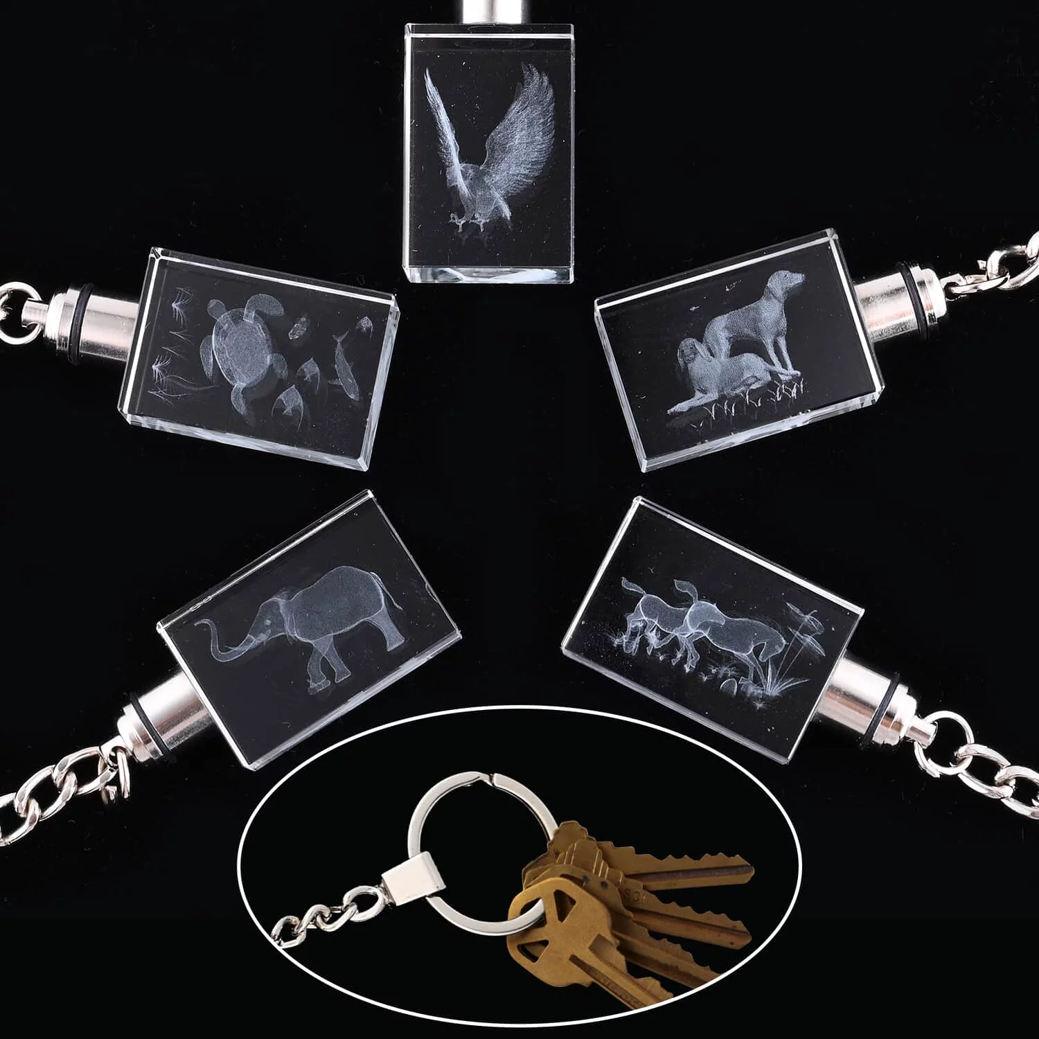 Shop LC Set of 5 Women Crystal LED Keychains Keyring Handbag Car Bike Key Holder Organizer Charms Gifts