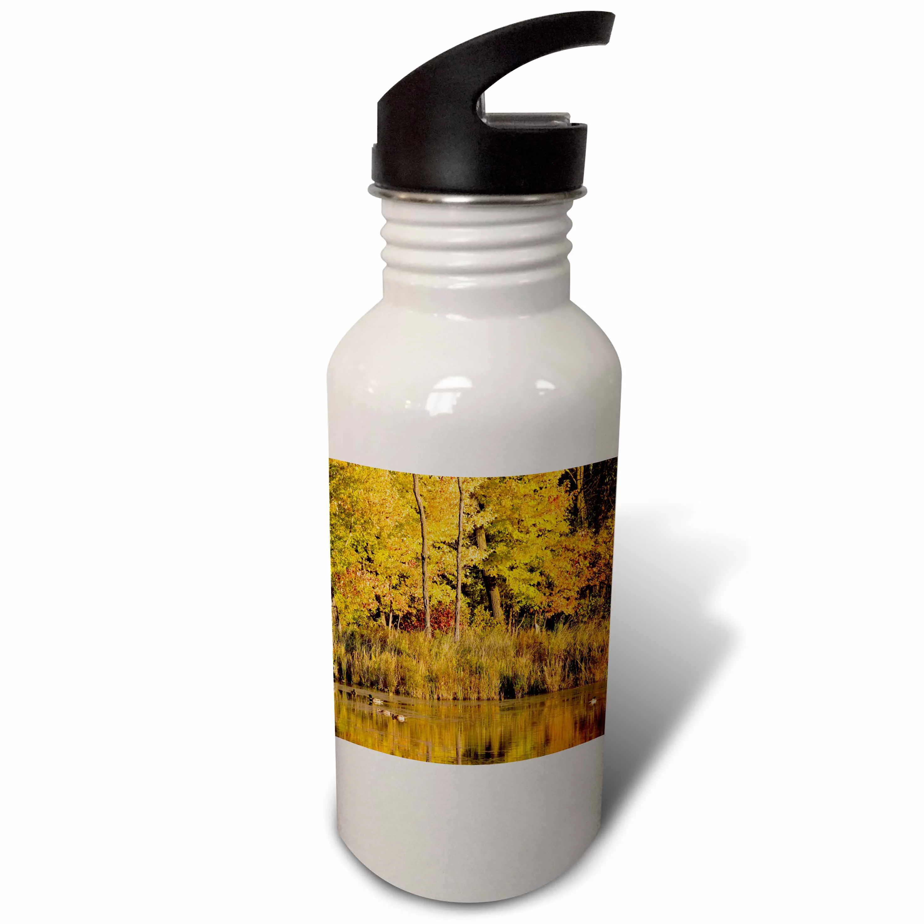 Waterfowl, Autumn, Fort Snelling SP, Minneapolis, MN - US24 CHA0038 - Chuck Haney 21 oz Sports Water Bottle wb-91364-1